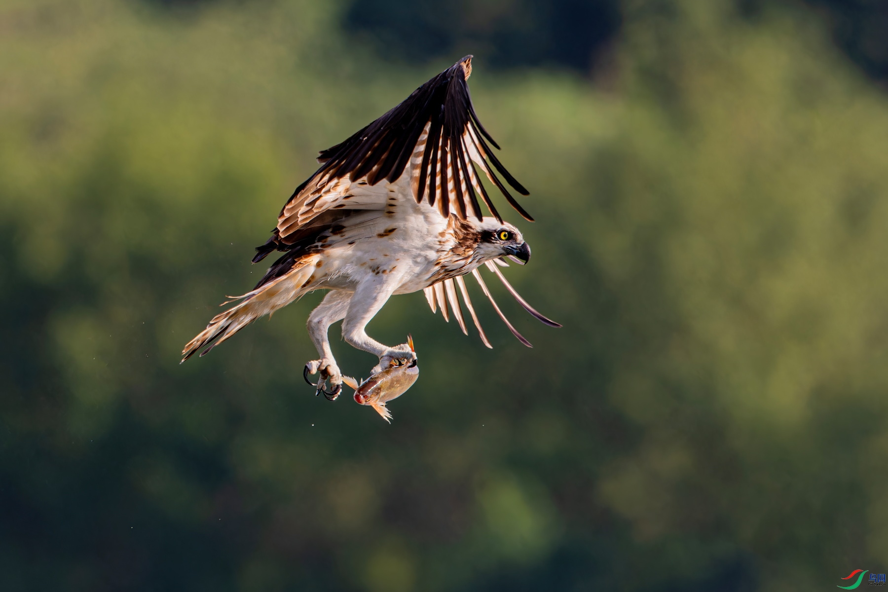 _WXL2192_DxO ����-gigapixel-scale-4_00x.jpg