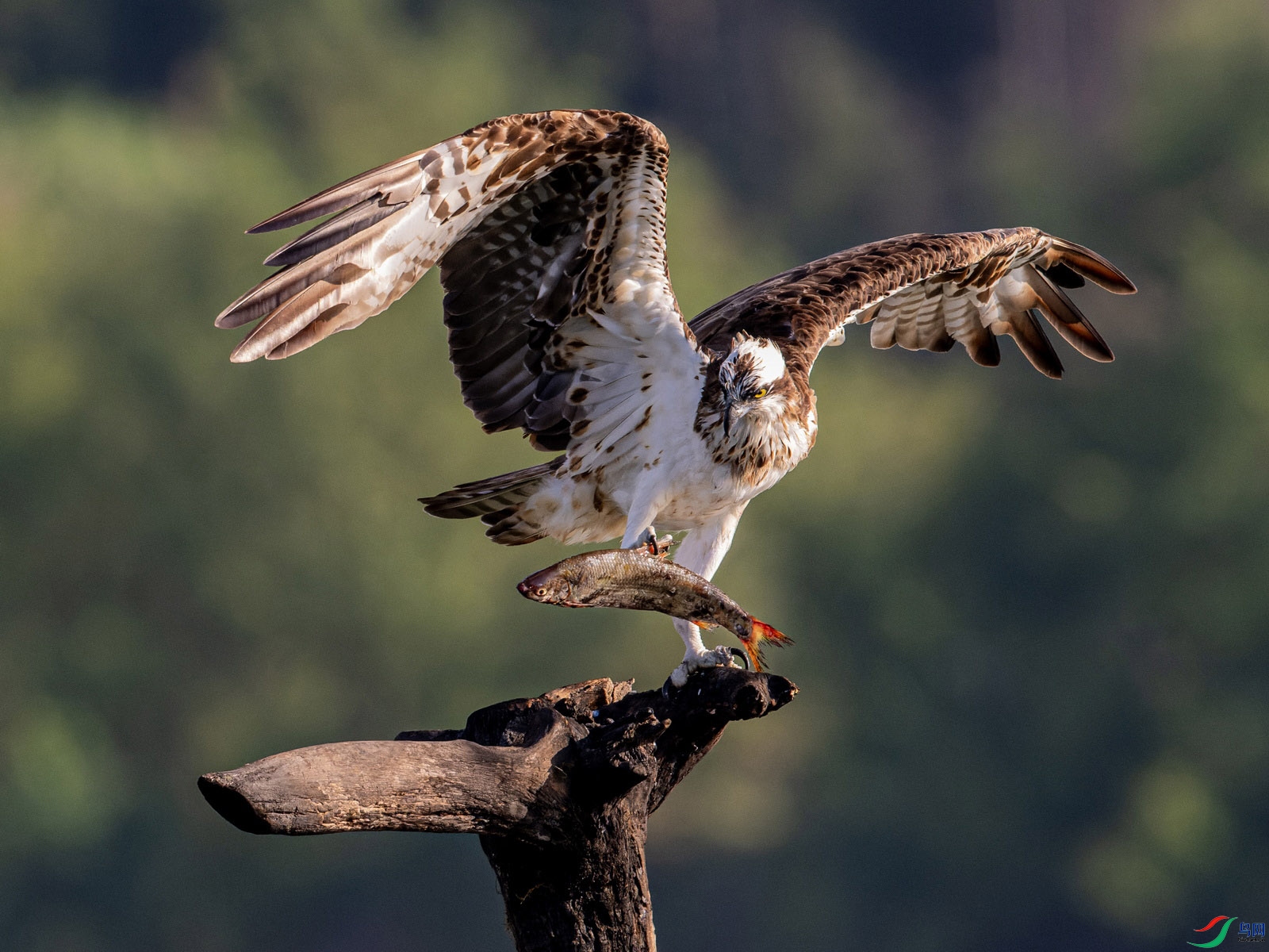 _WXL2498_DxO ���� 2.jpg