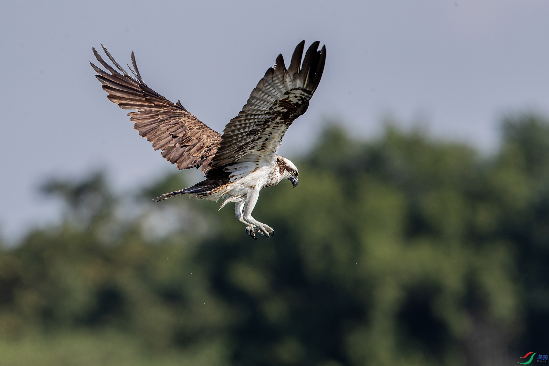 WXL_0001_DxO ����.jpg