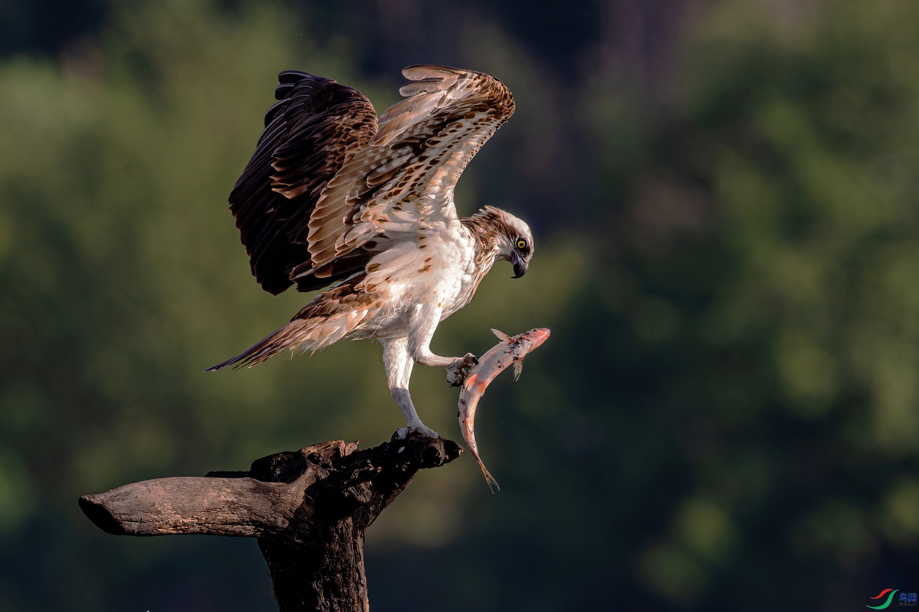 _WXL2372_DxO ��.jpg