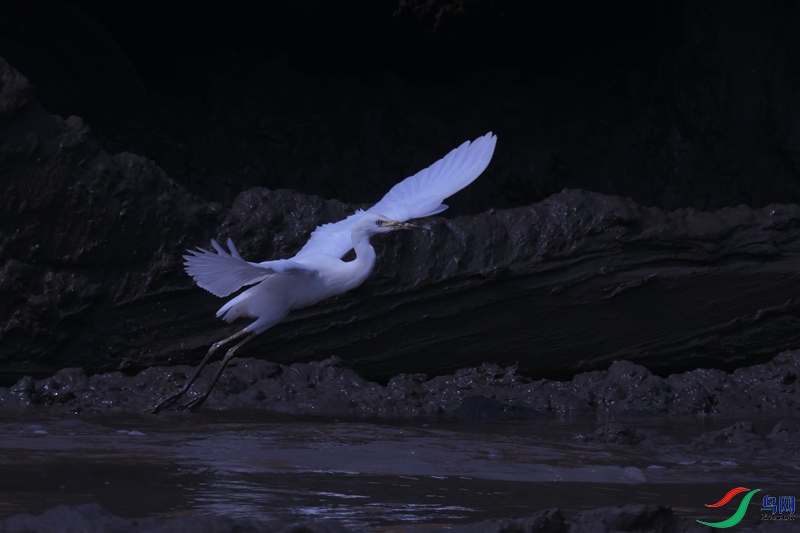 A28A3598_��-.jpg