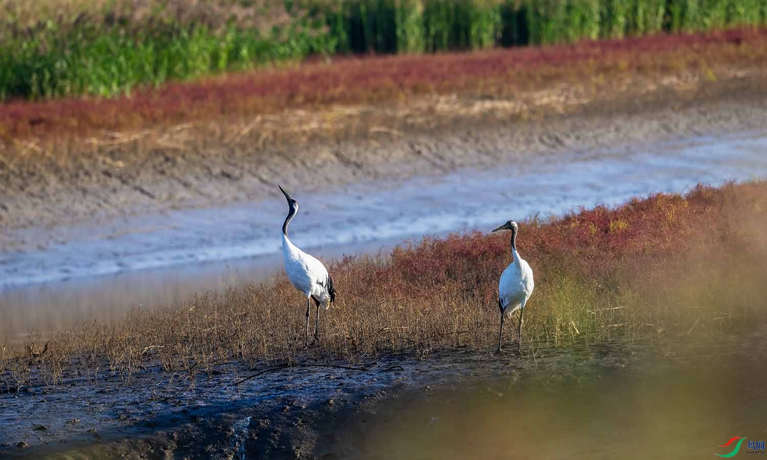 DSC_0677 ����.jpg