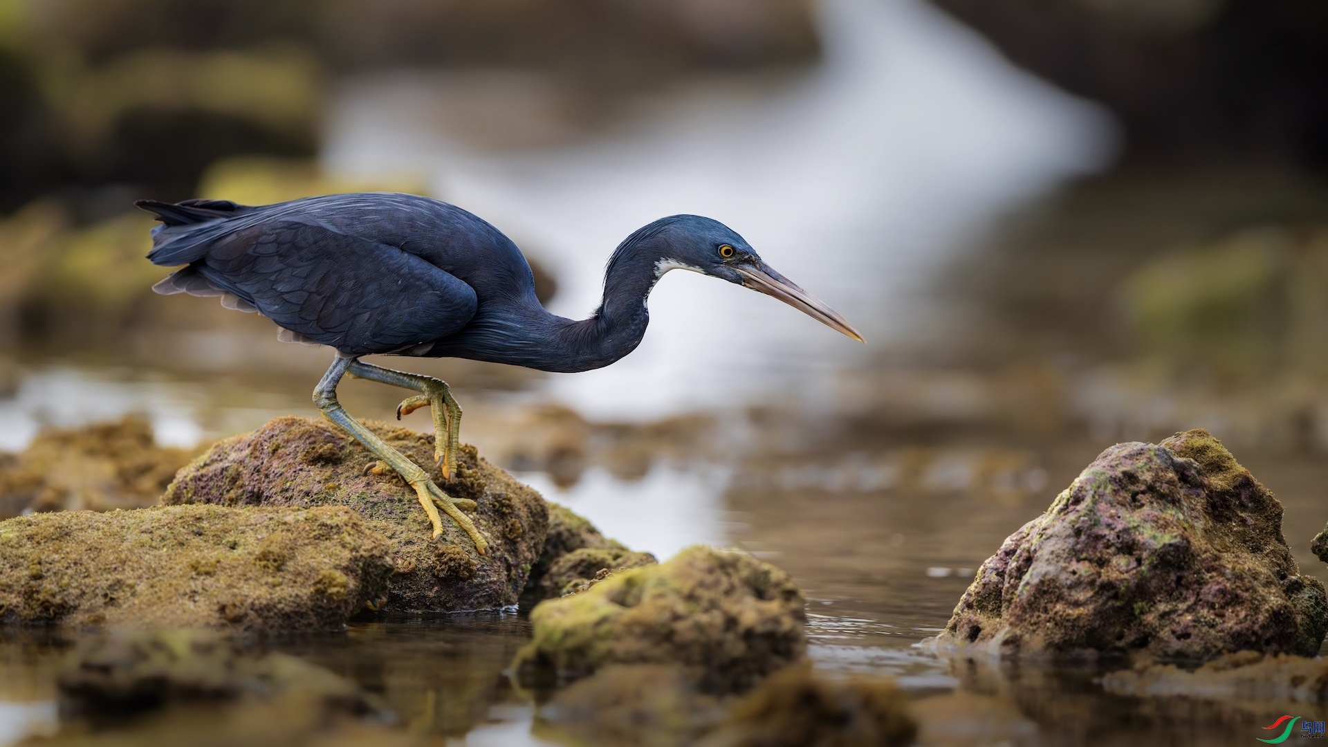 1_XXL8906-����ǿ-NR ����.jpeg