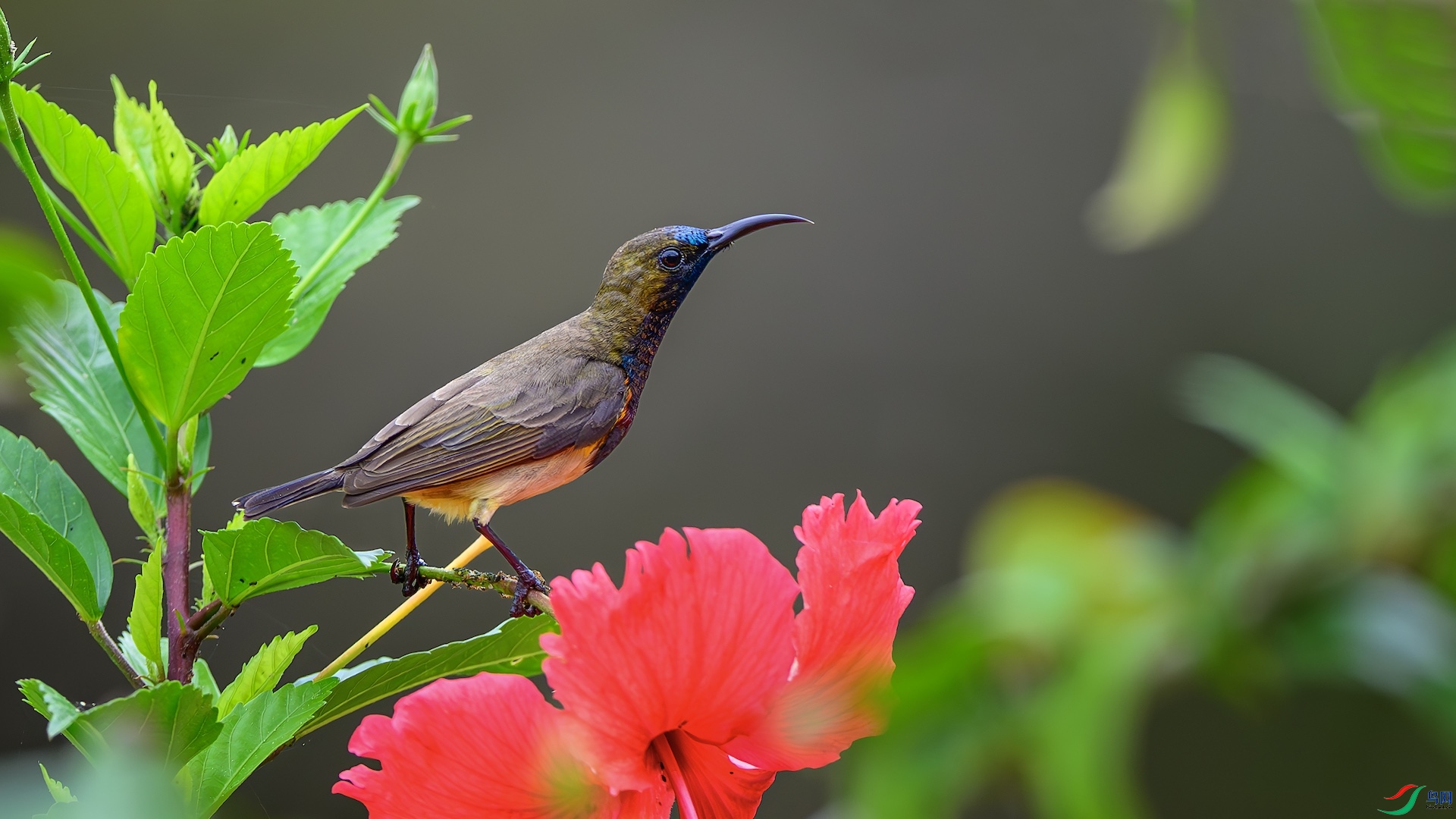 1_XXL9742-����ǿ-NR ����.jpeg