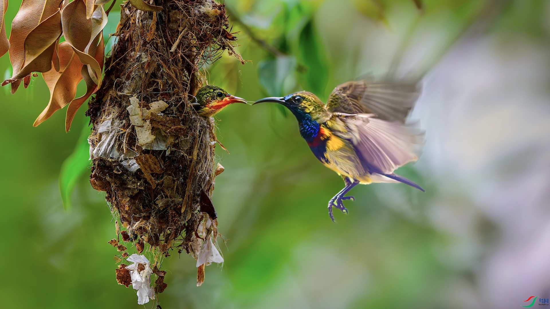 1-2_XXL8640-����ǿ-NR ���� 2.jpeg