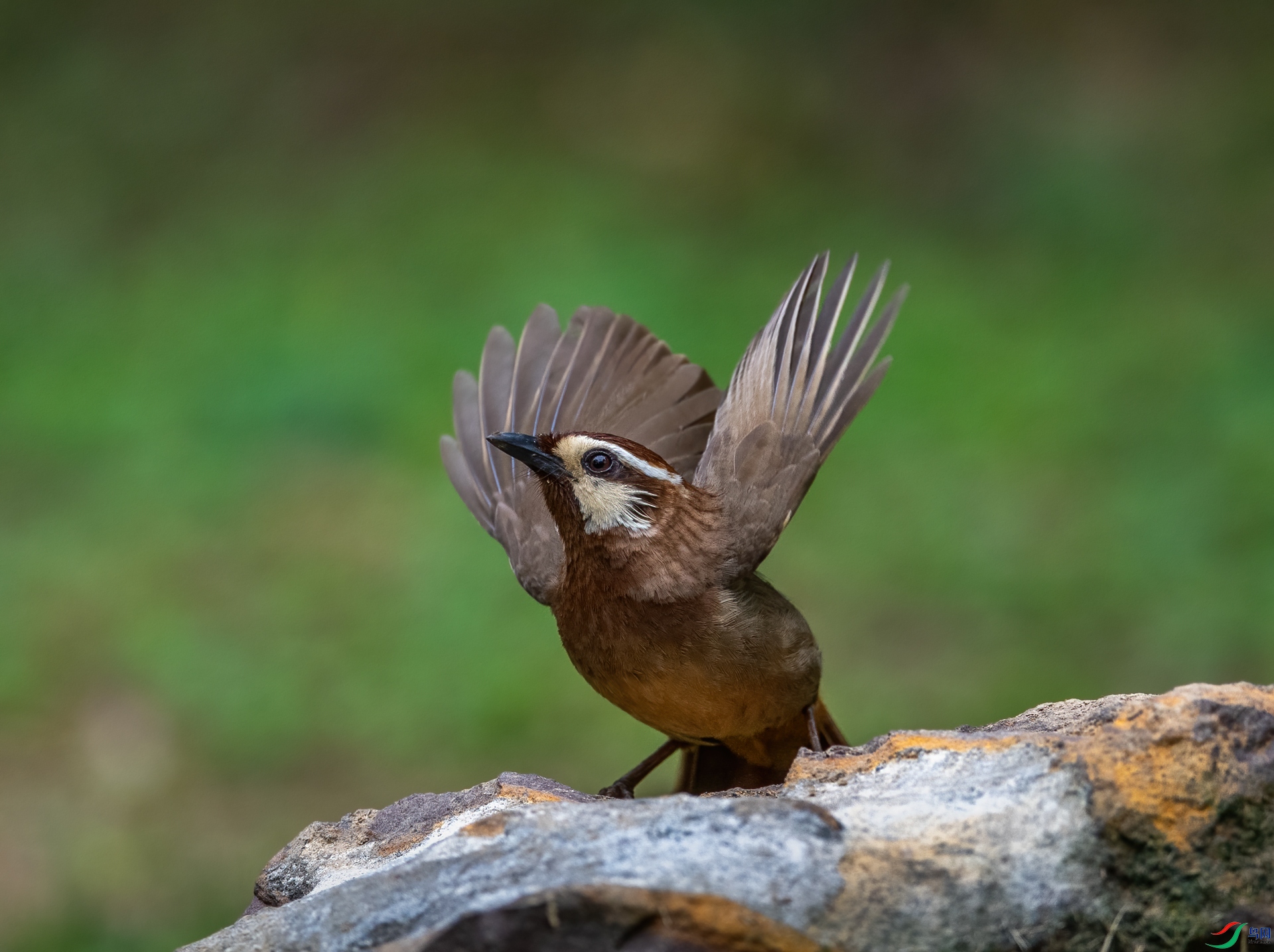 DSC_1399-1.jpg