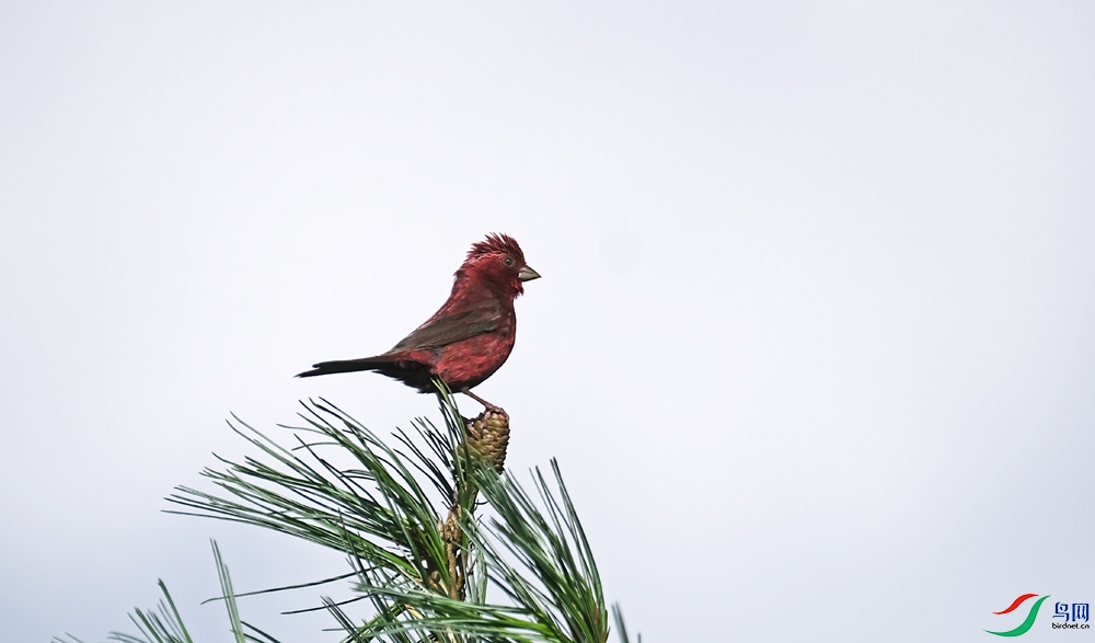 DSCF2717.1.jpg