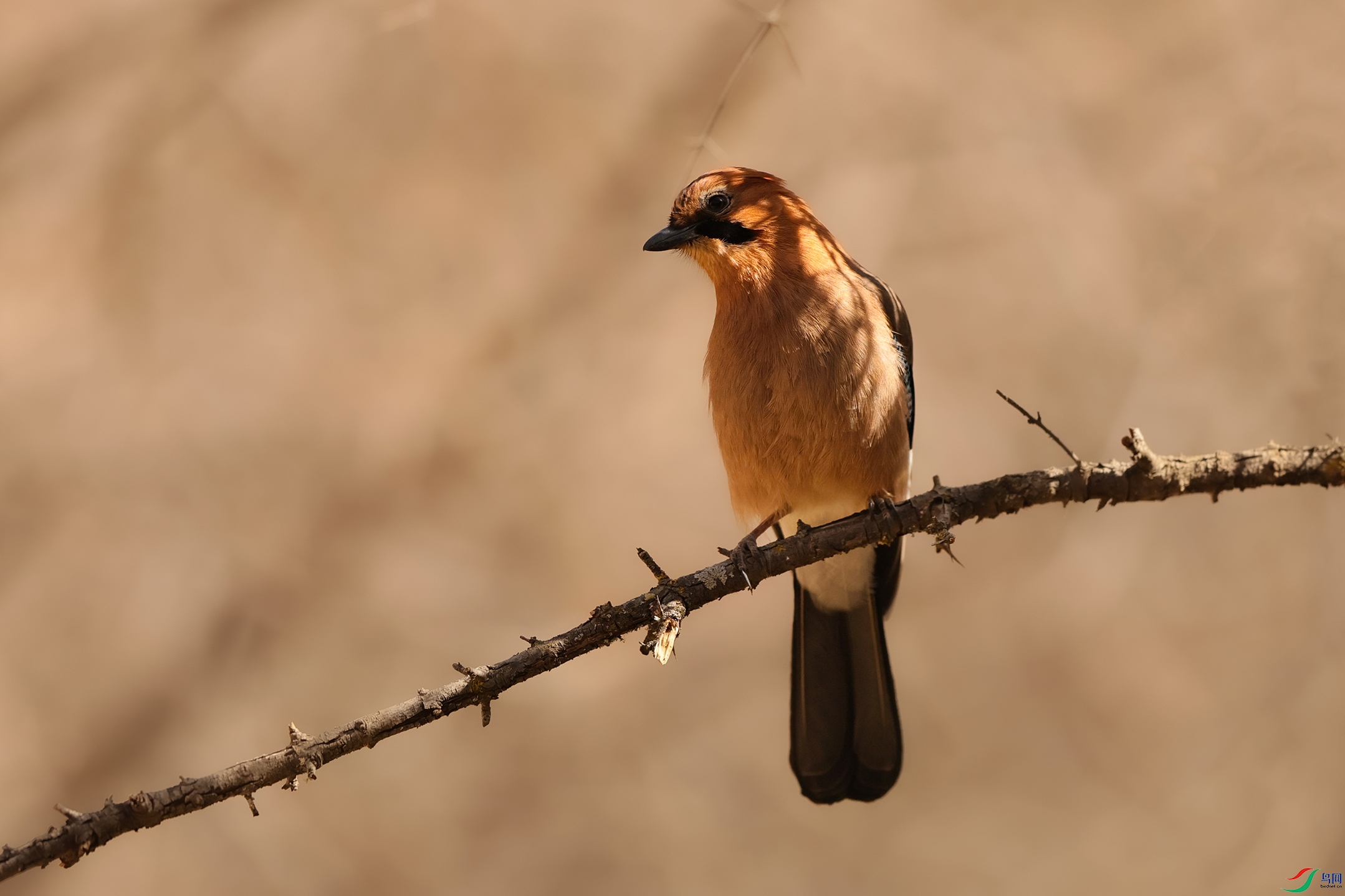 7X5A1075 ����666.jpg