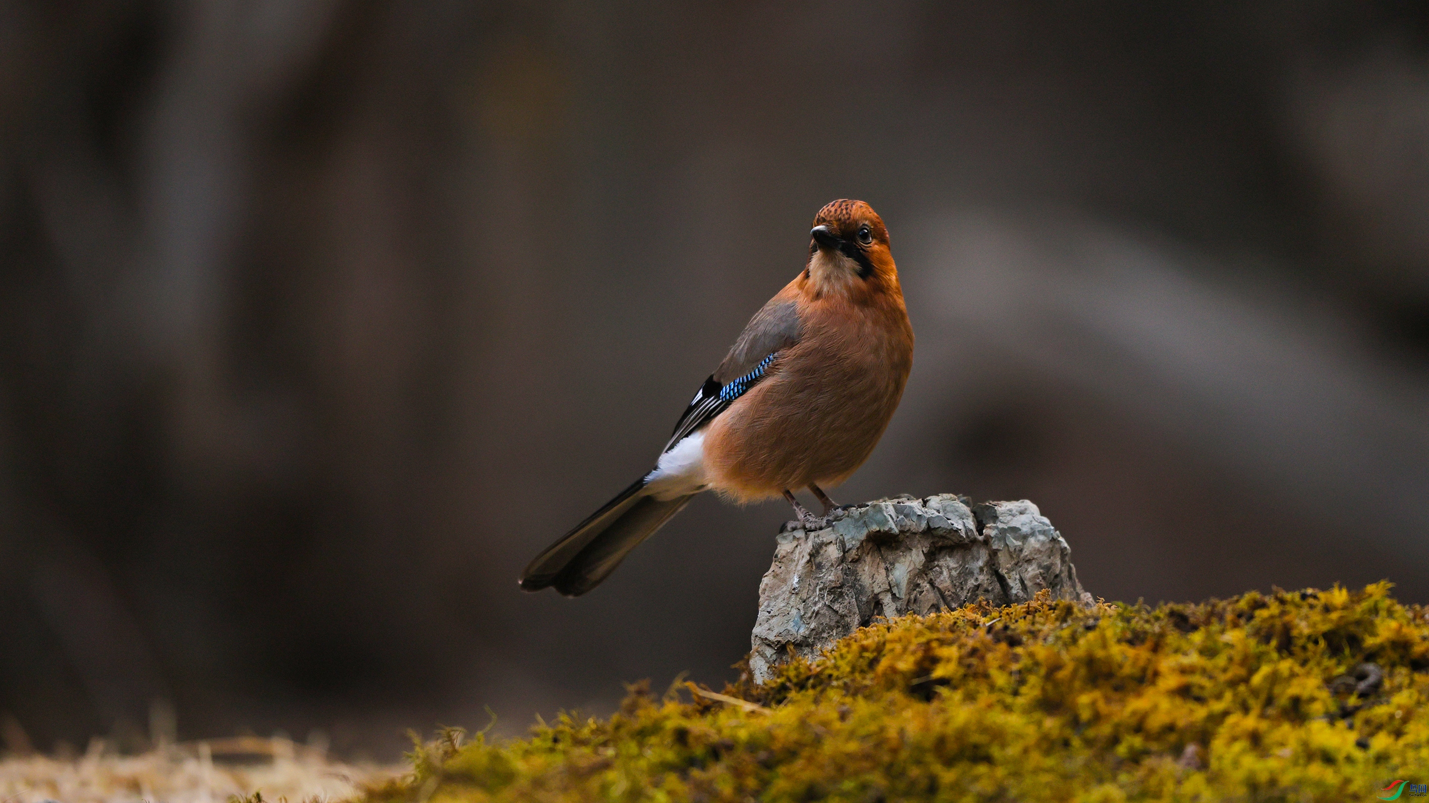 7X5A0098 ����000.jpg