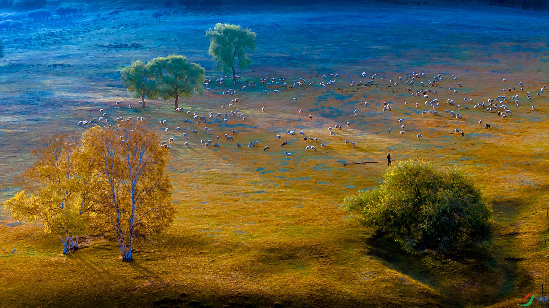 DJI_20240927075530_0118_D.jpg