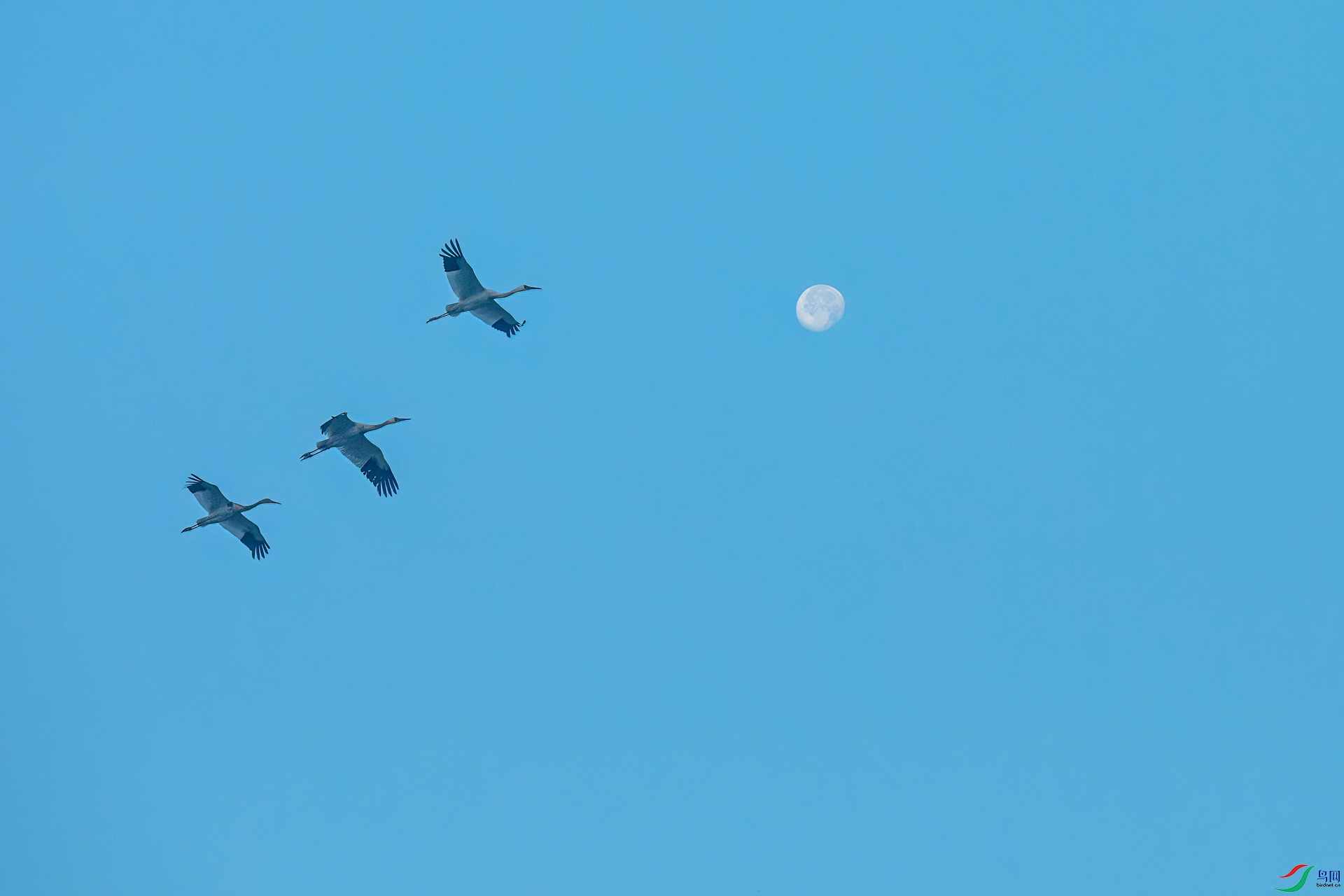 073A5049 _����.jpg