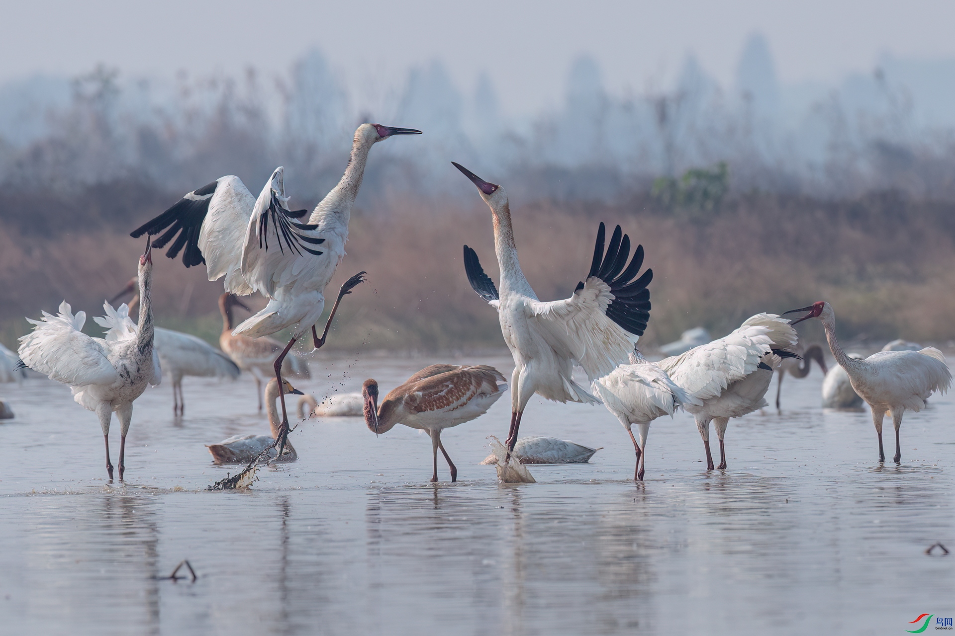 B86I3751 _����.jpg