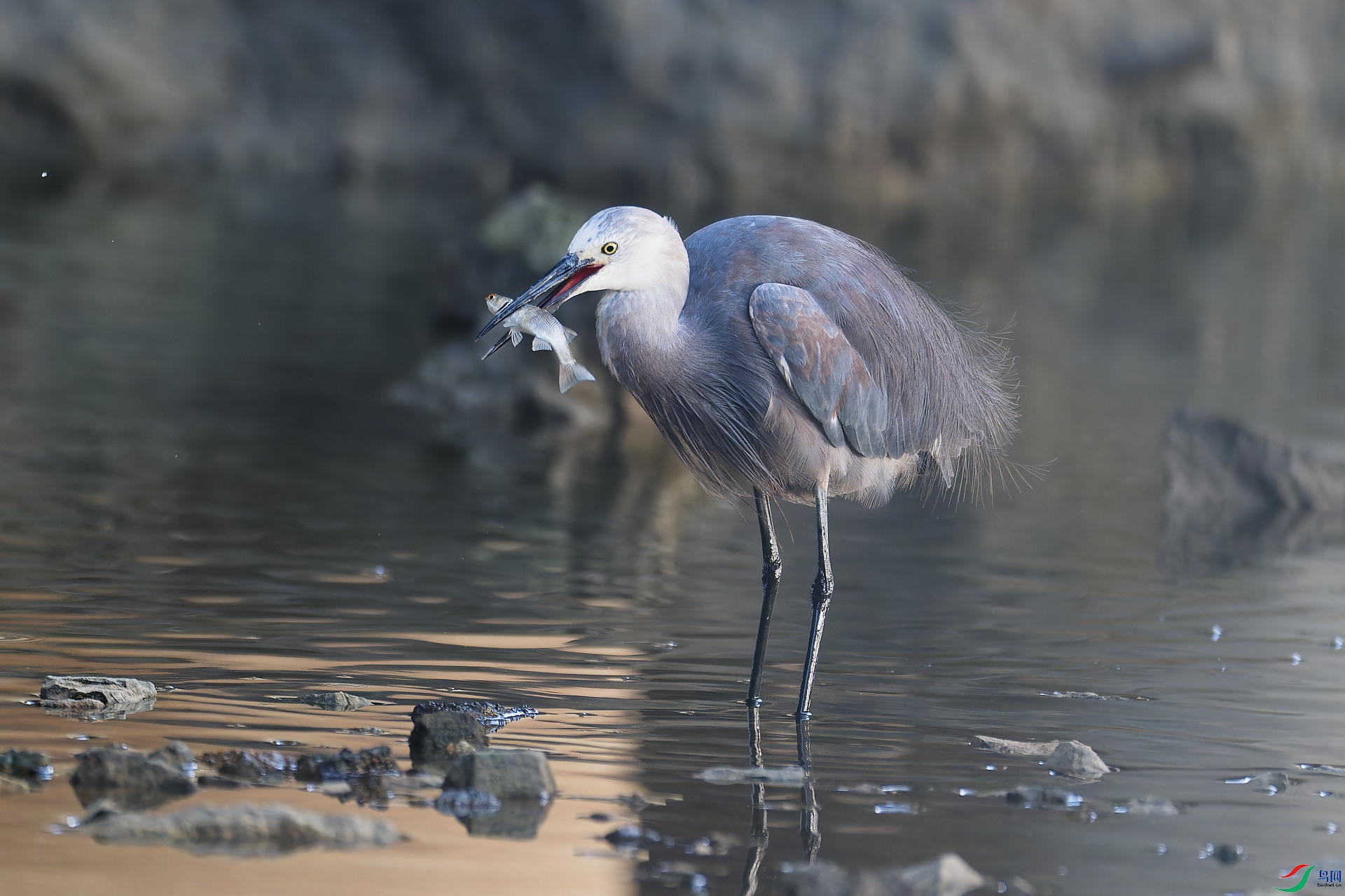 DSC_6810.jpg