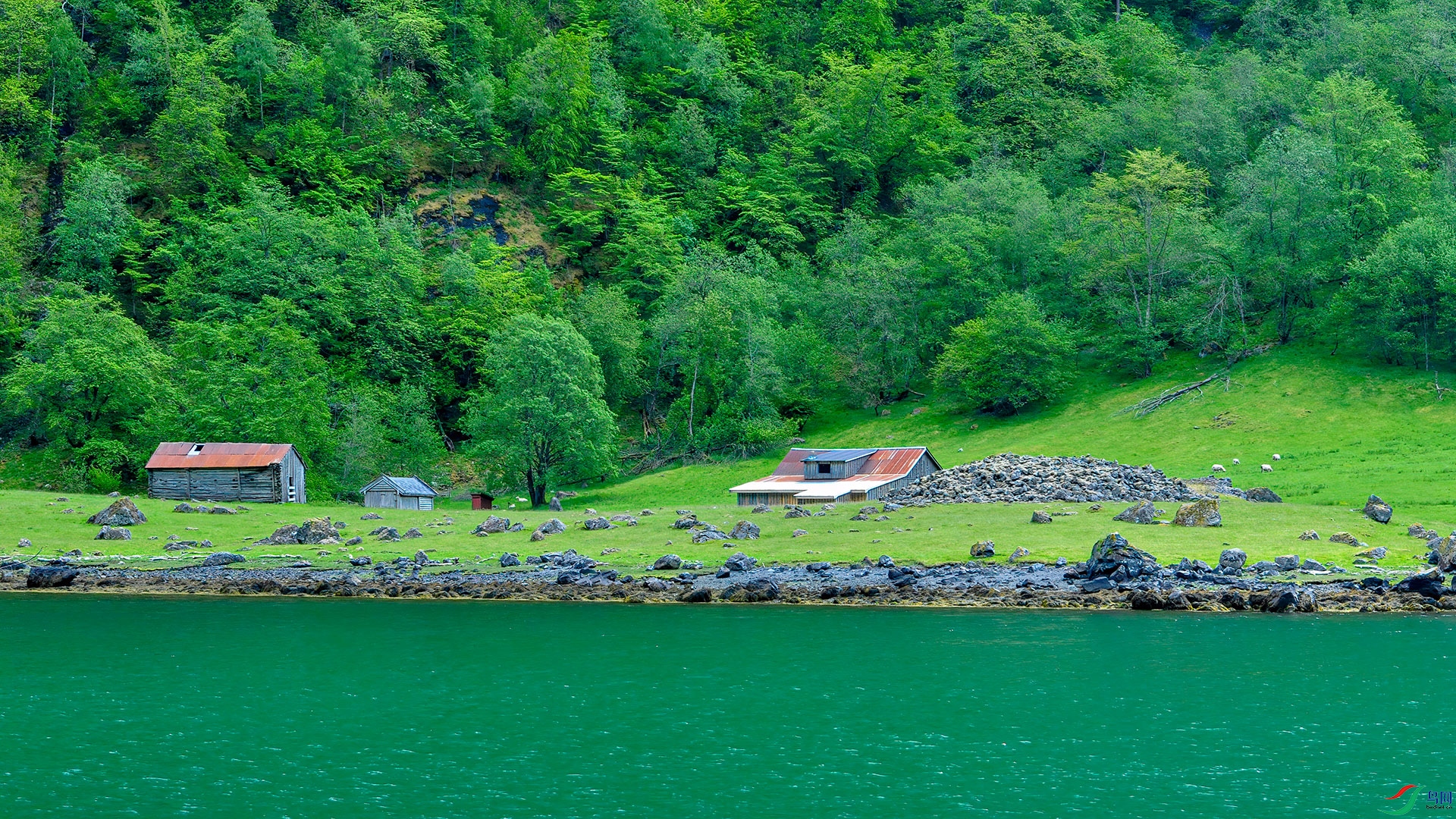 _DSC0171Ų��Ͽ��.jpg