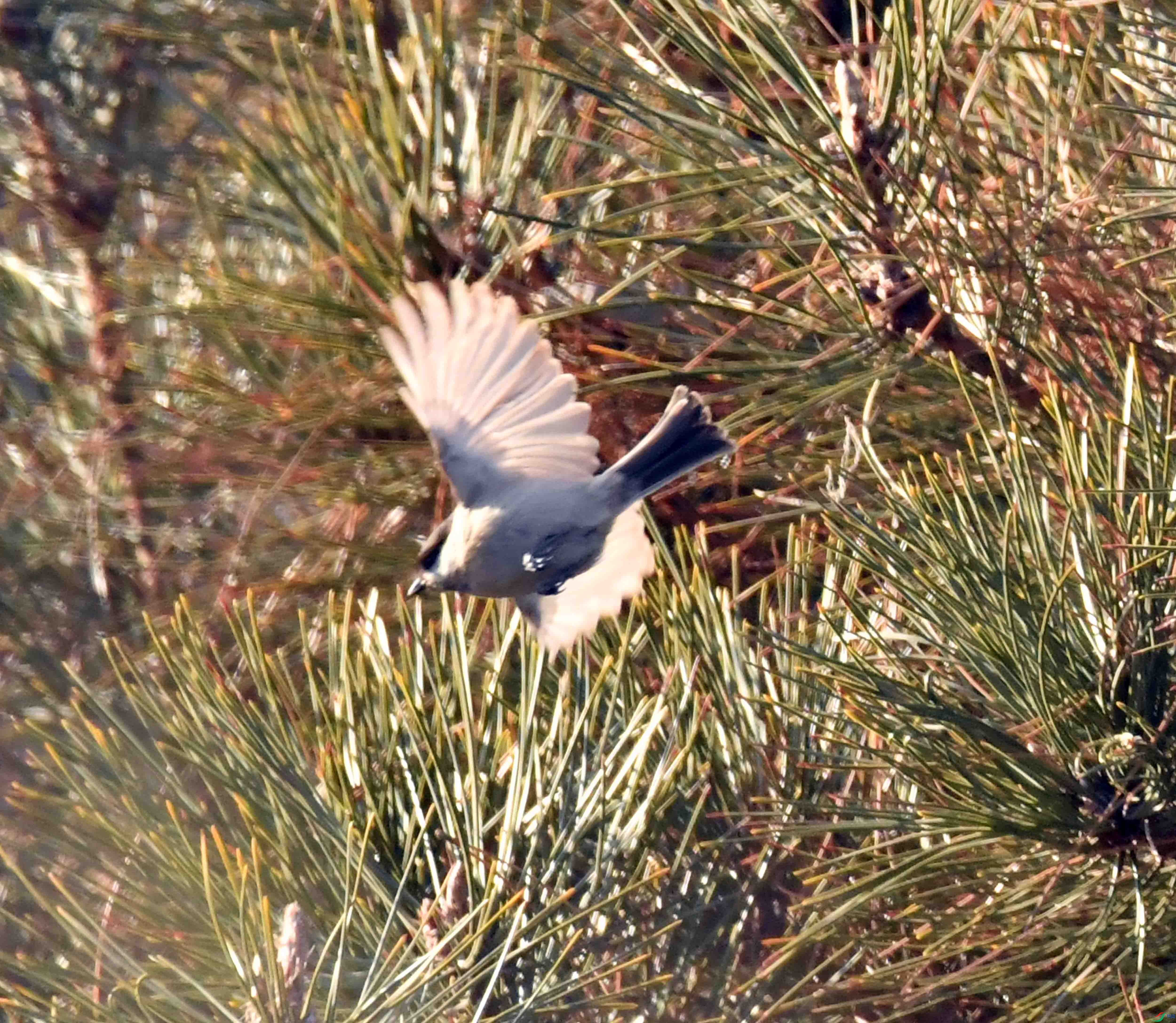DSC_4076.JPG