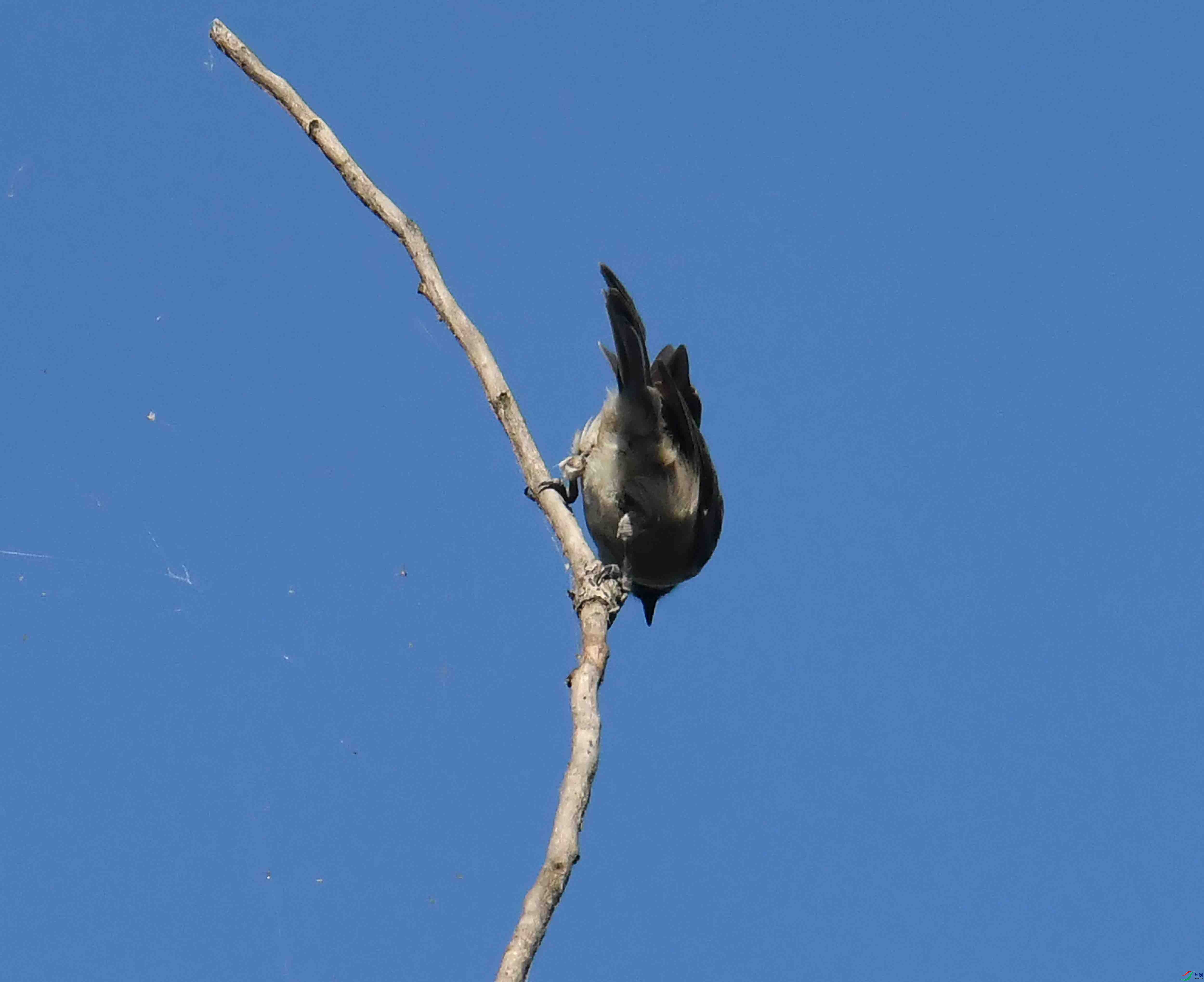 DSC_7376.JPG