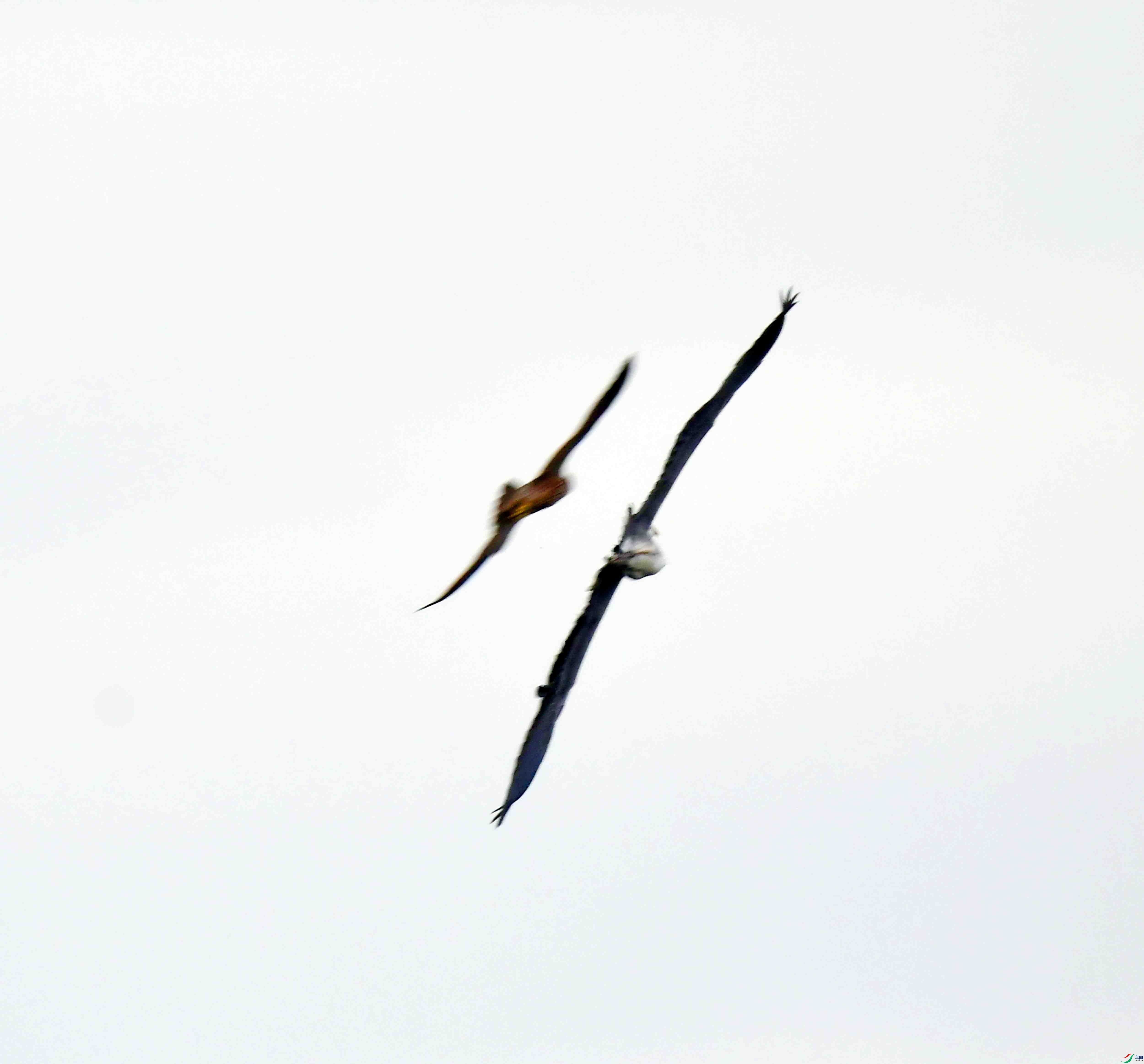 DSC_7369.JPG