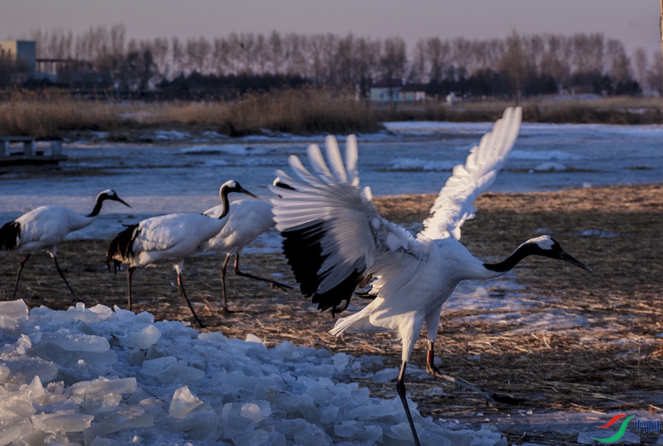 DSC_2410.jpg
