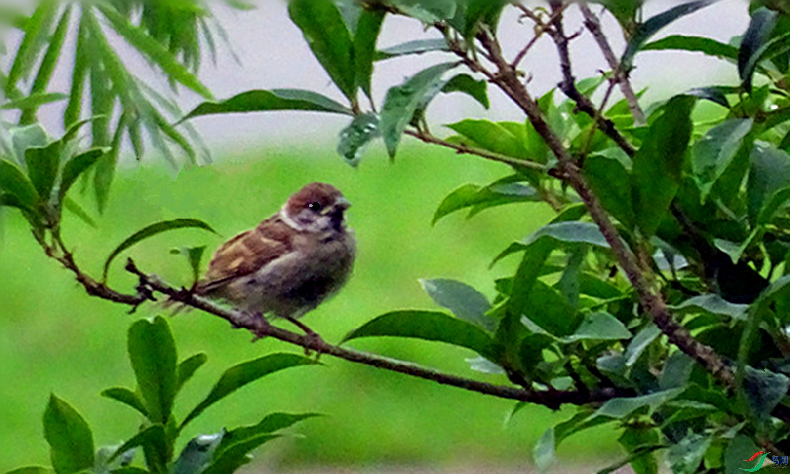 DSC02072_����.jpg