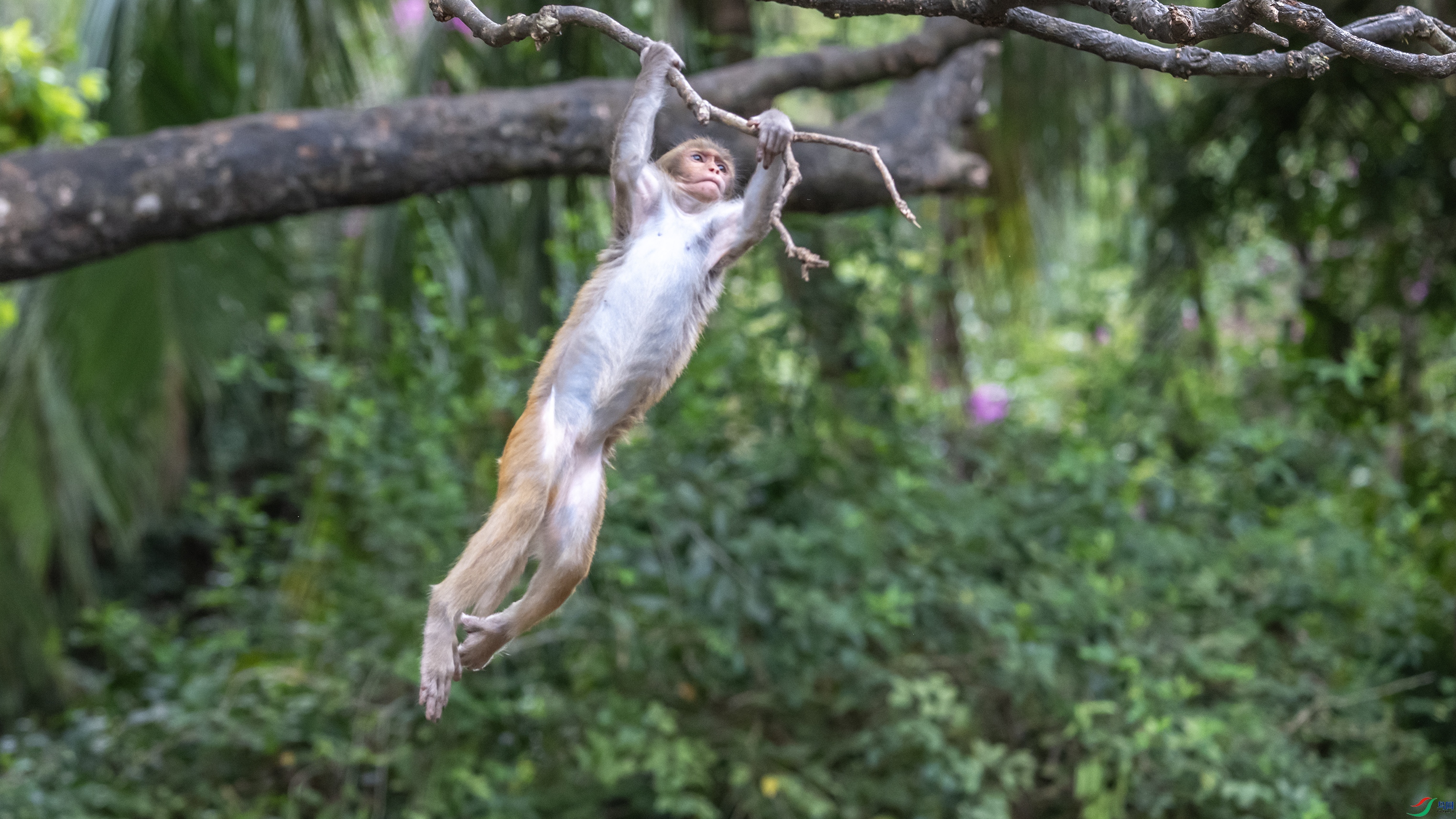 2775 ����.jpg