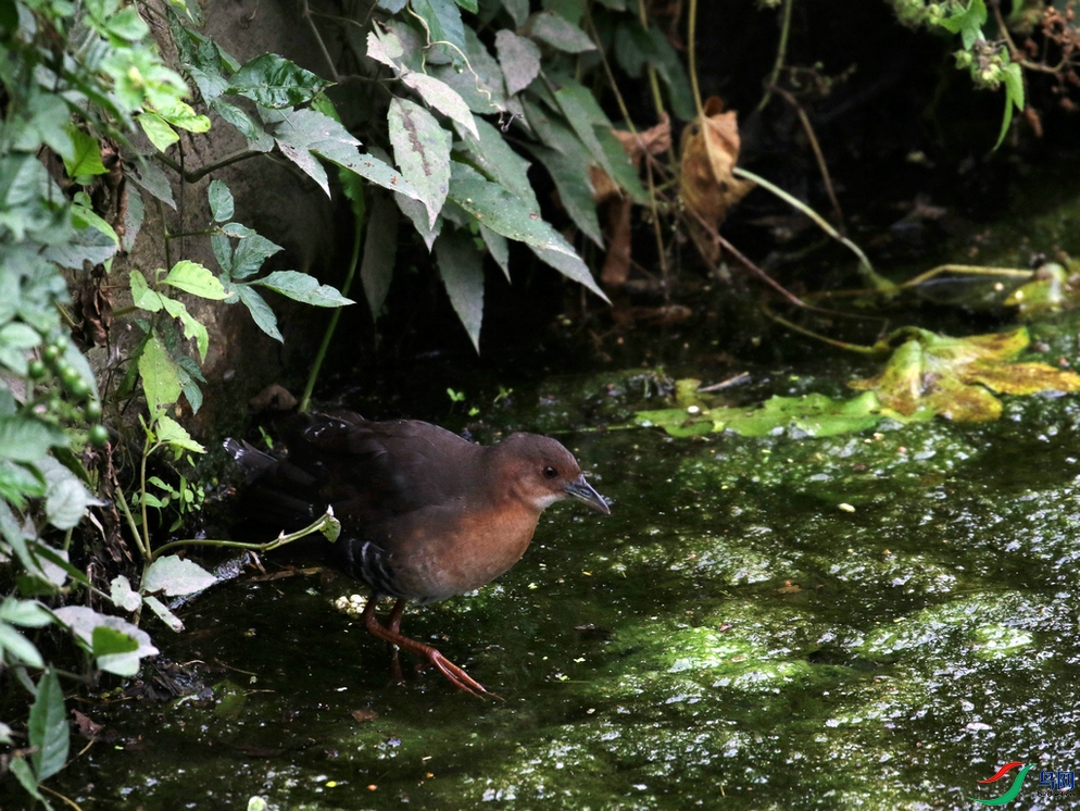 DSC20241006168.jpg