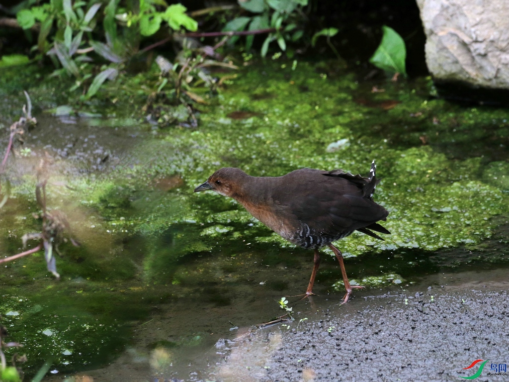 DSC20241006251.jpg
