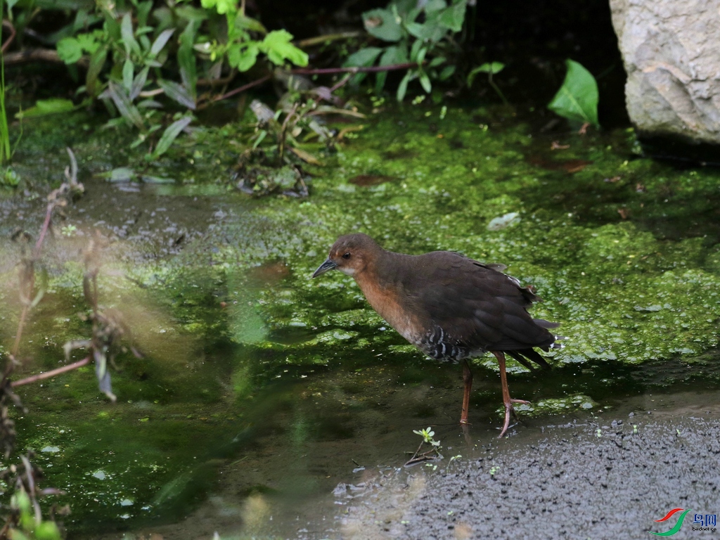 DSC20241006260.jpg