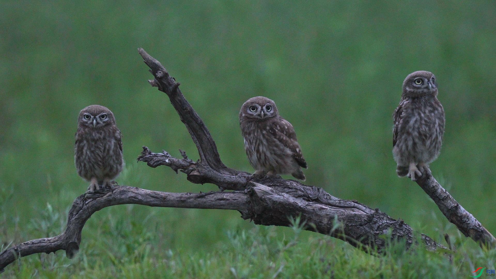 10��6�� (1)(1)-����.jpg