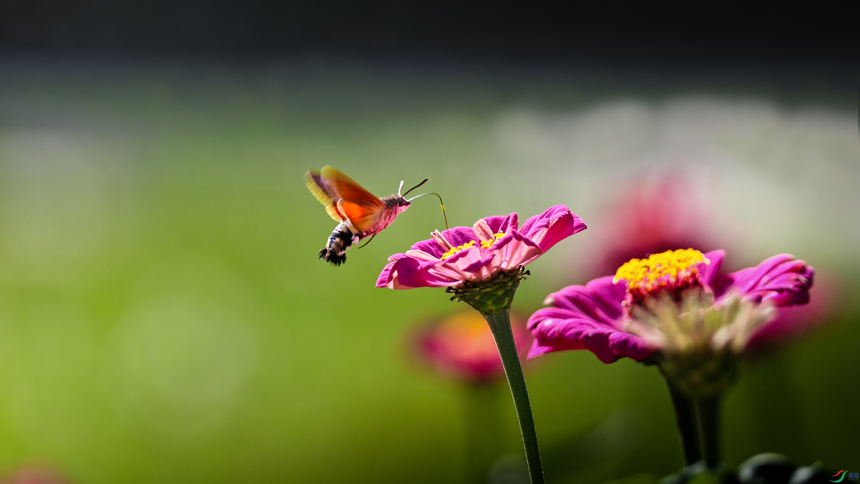 7X5A0933 ����3333.jpg