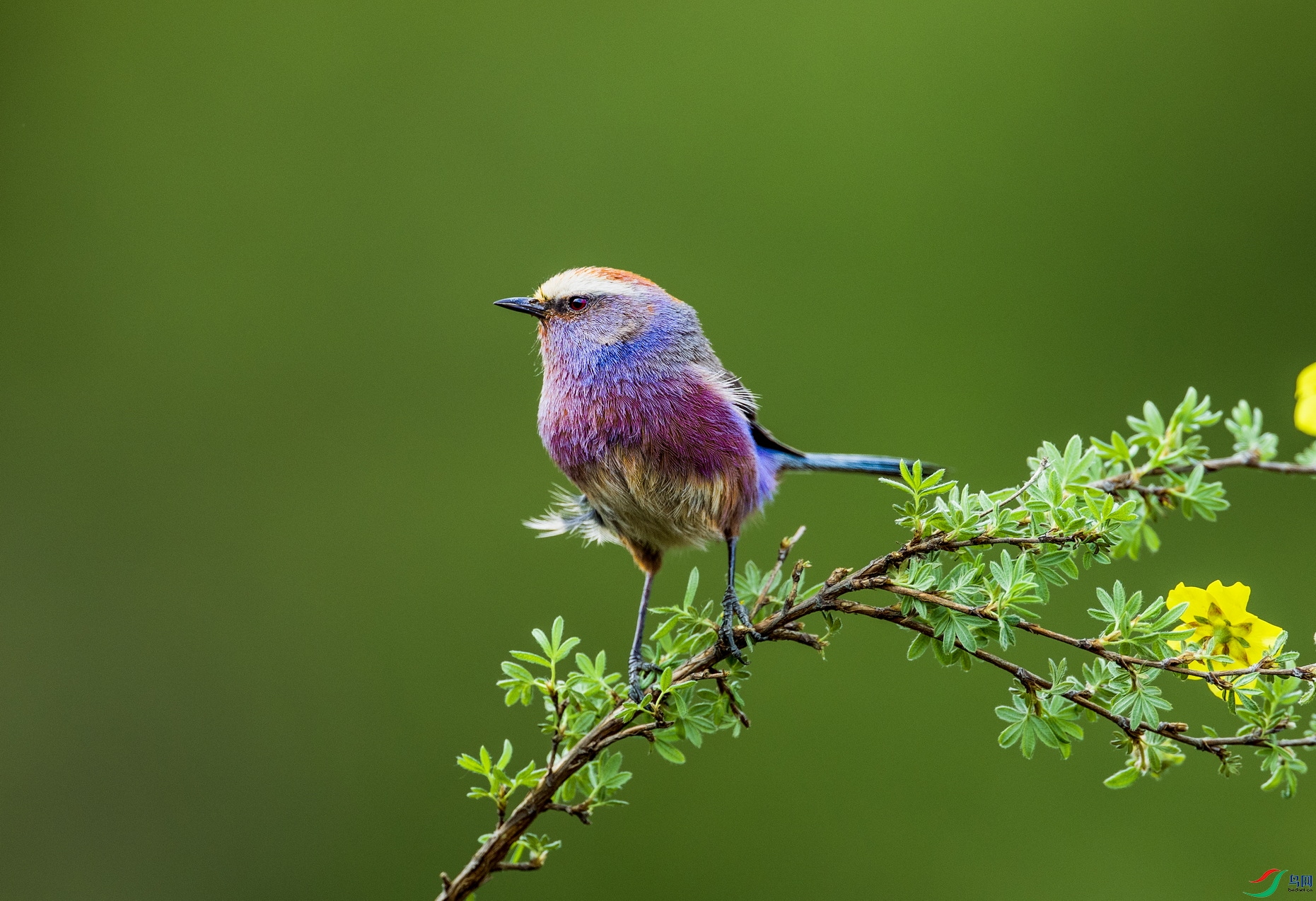 AD8I4177 �Ǹ���Զx (2).jpg