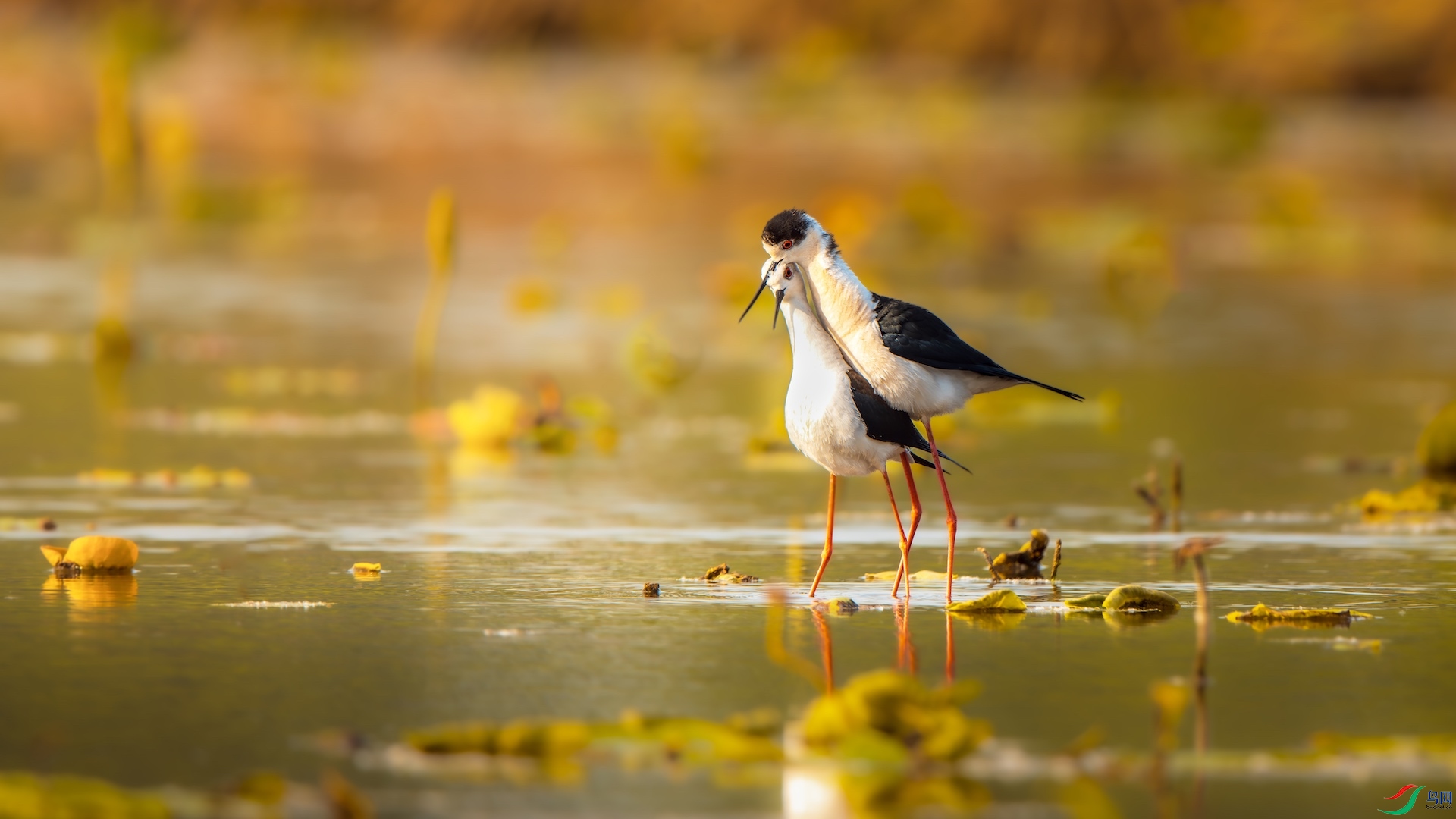 4_XXI3649-����ǿ-NR-1.jpg11 2.jpeg