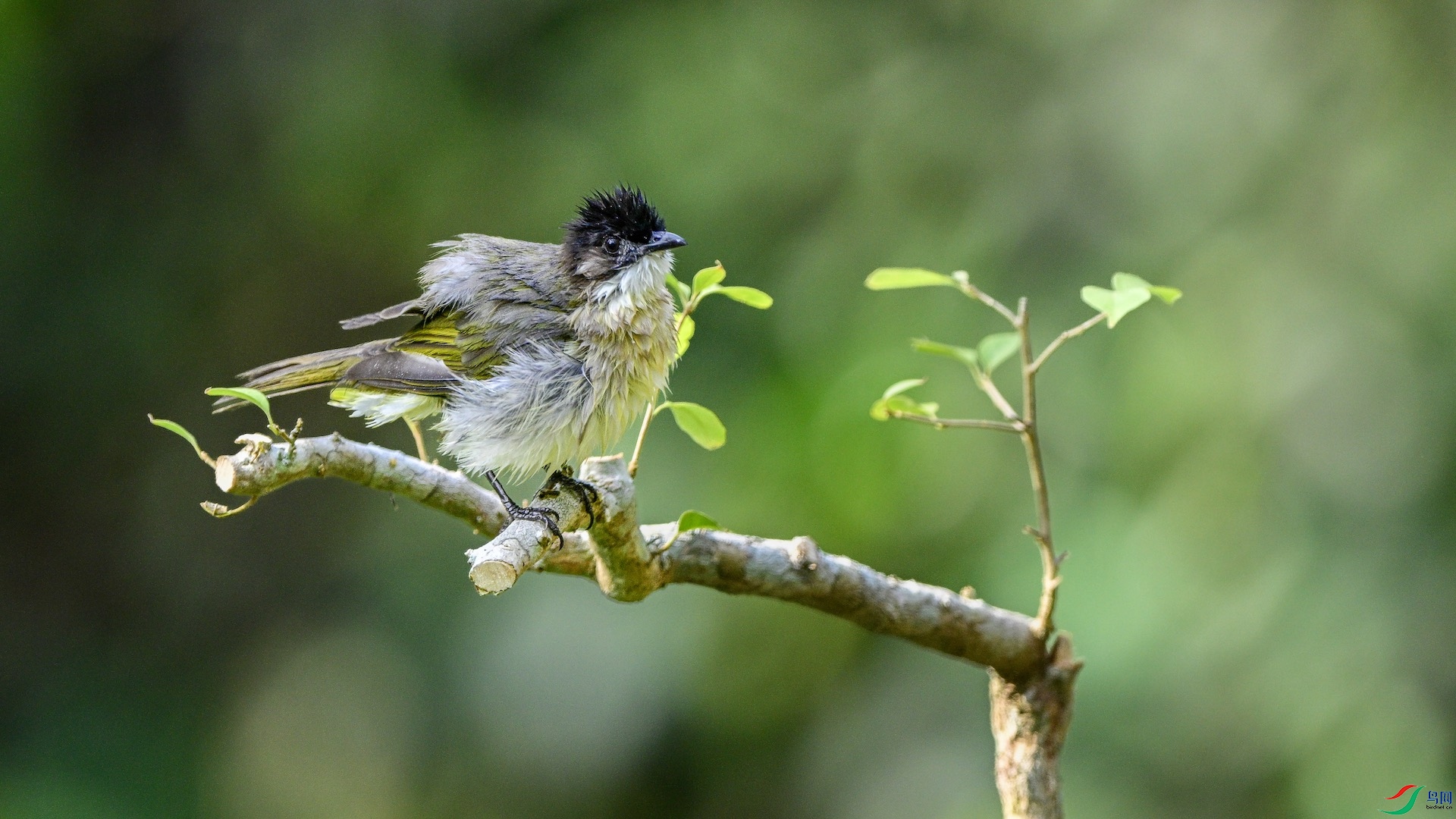 1_DSC0925 ����.jpeg