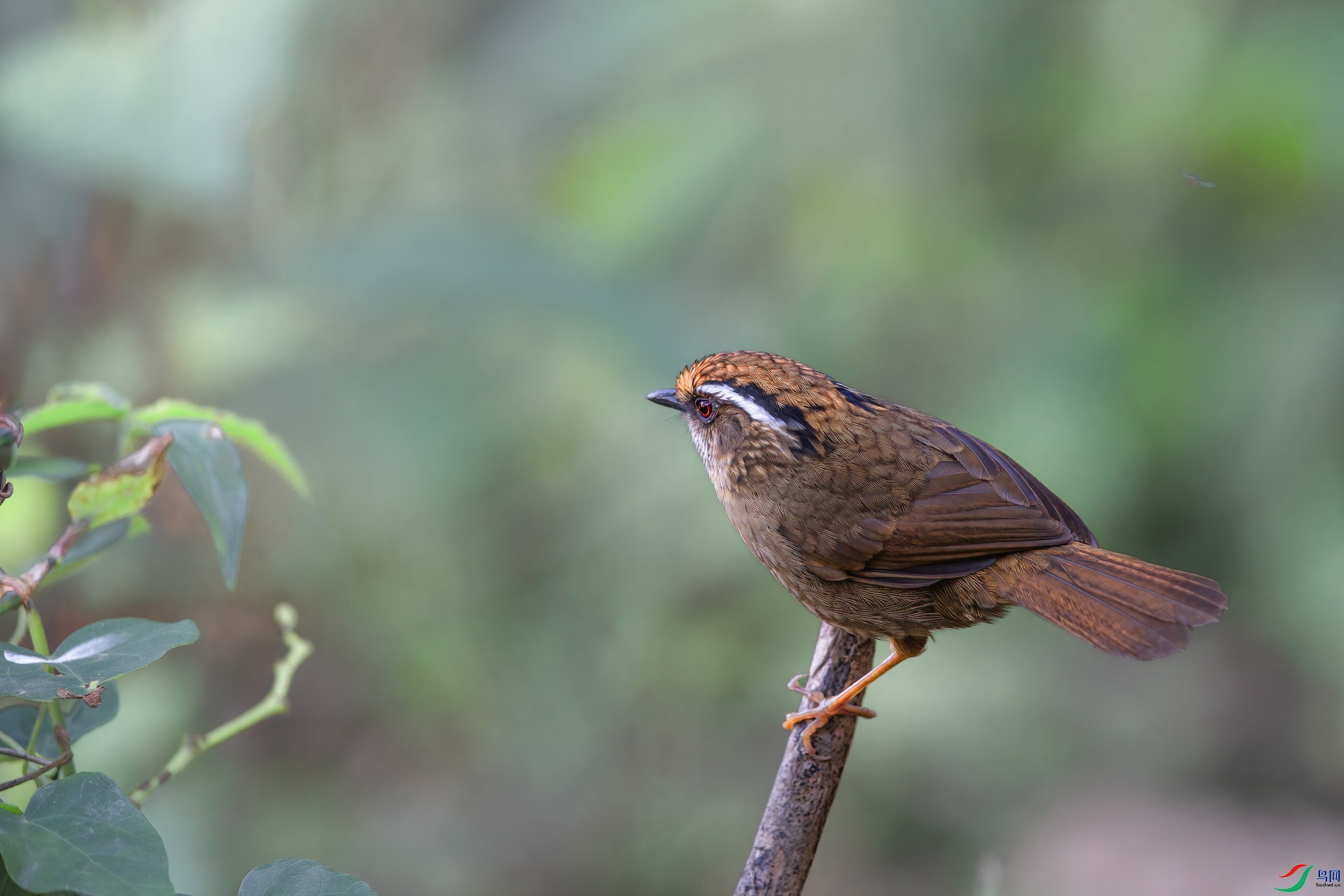 AQ4P2864-1.jpg