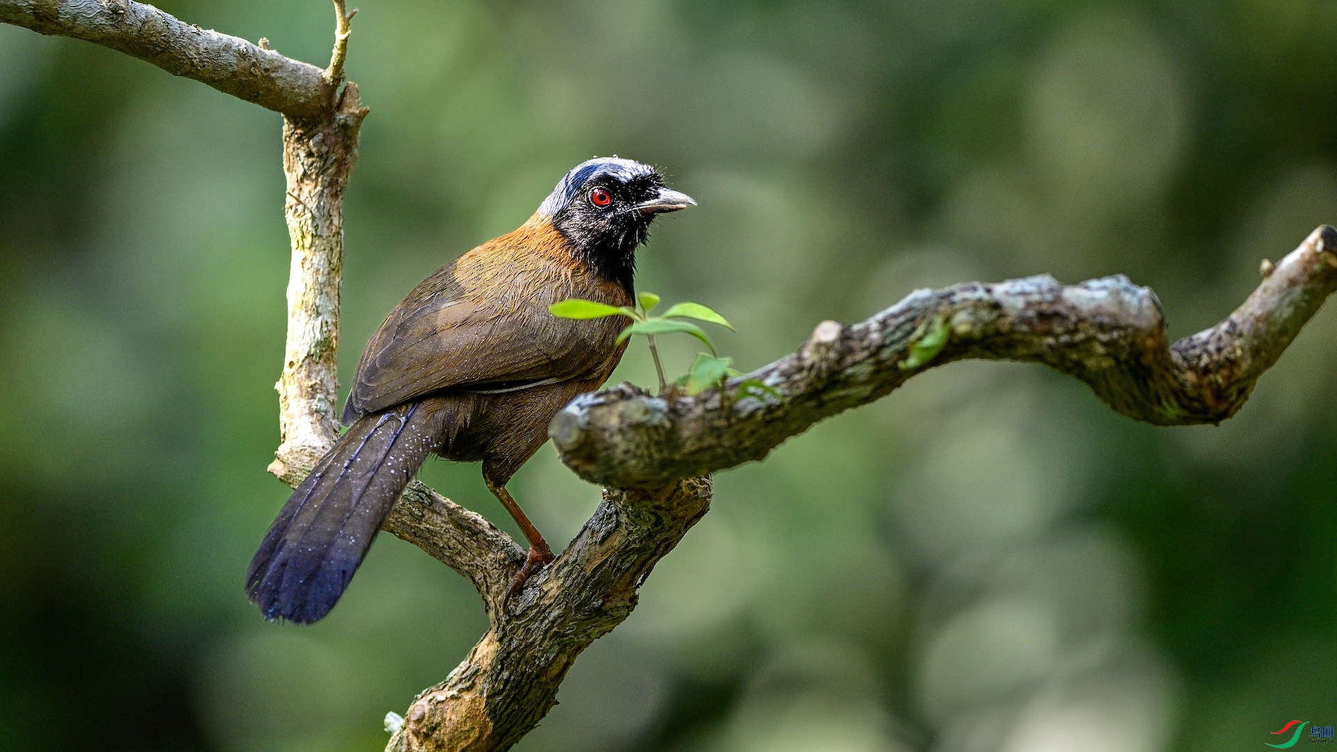 1_DSC0950 ����.jpeg