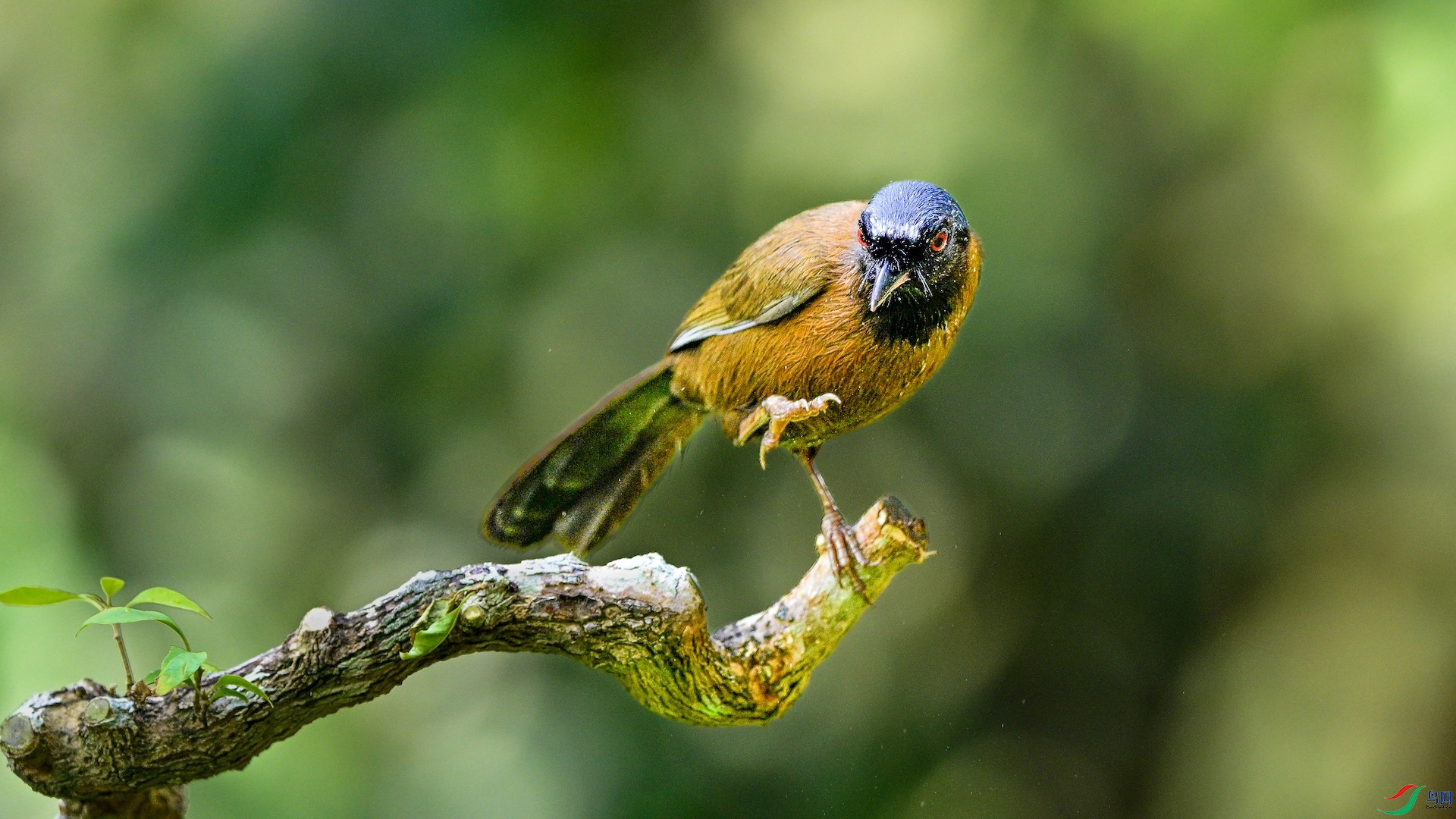 1_DSC0968 ����.jpeg