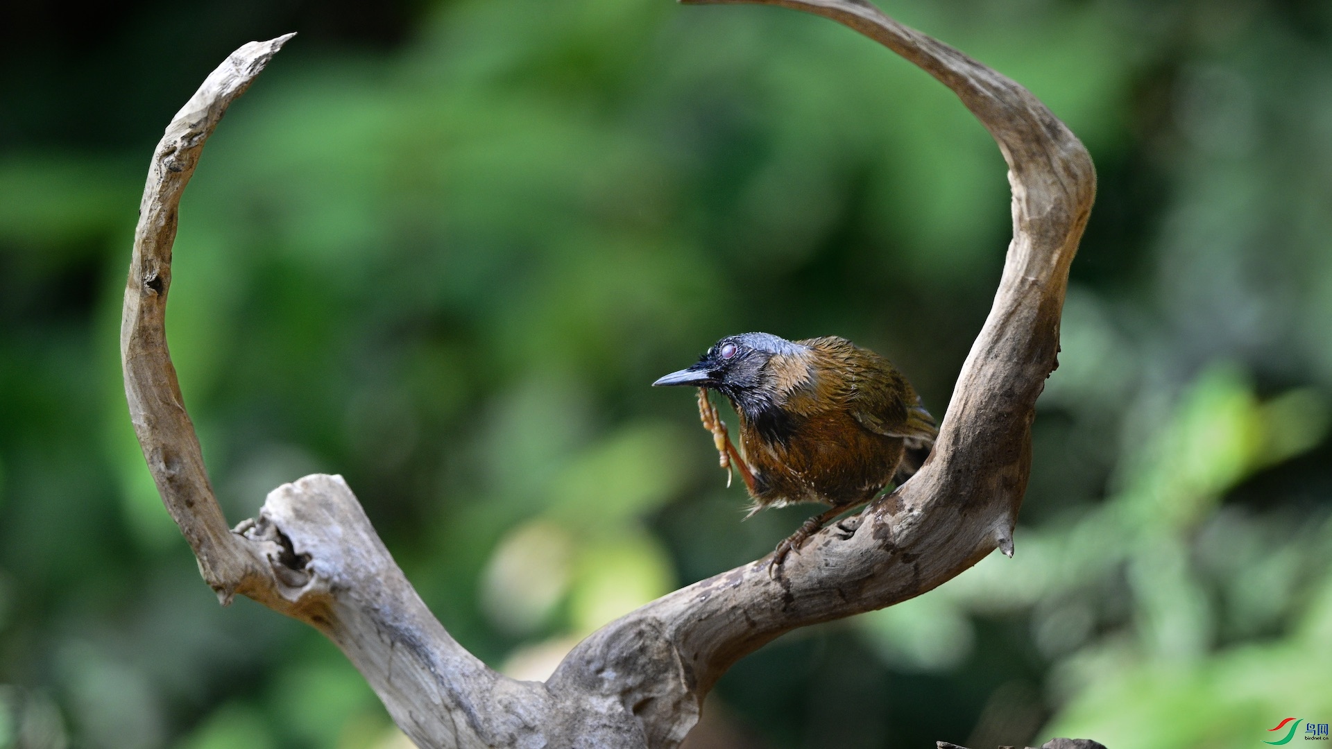 1_DSC1067 ����.jpeg