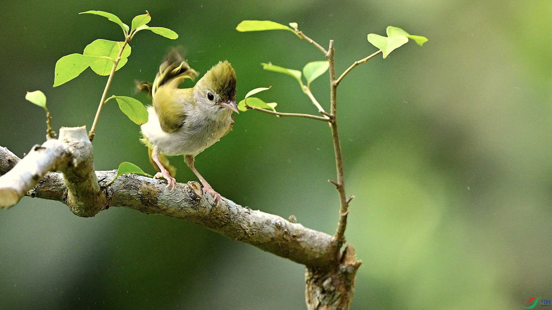 1_DSC1185 ����.jpeg