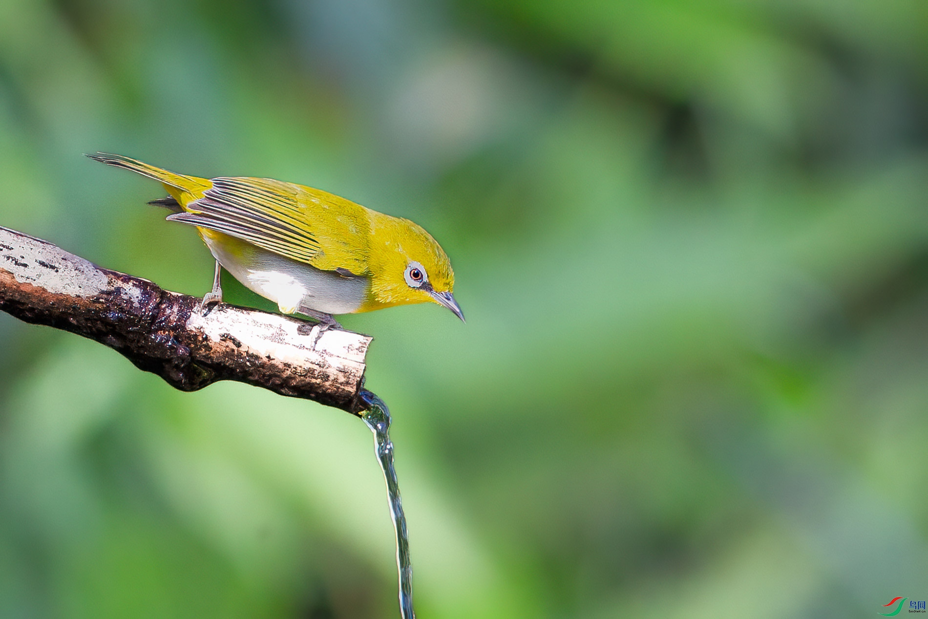 a_05207-1.jpg