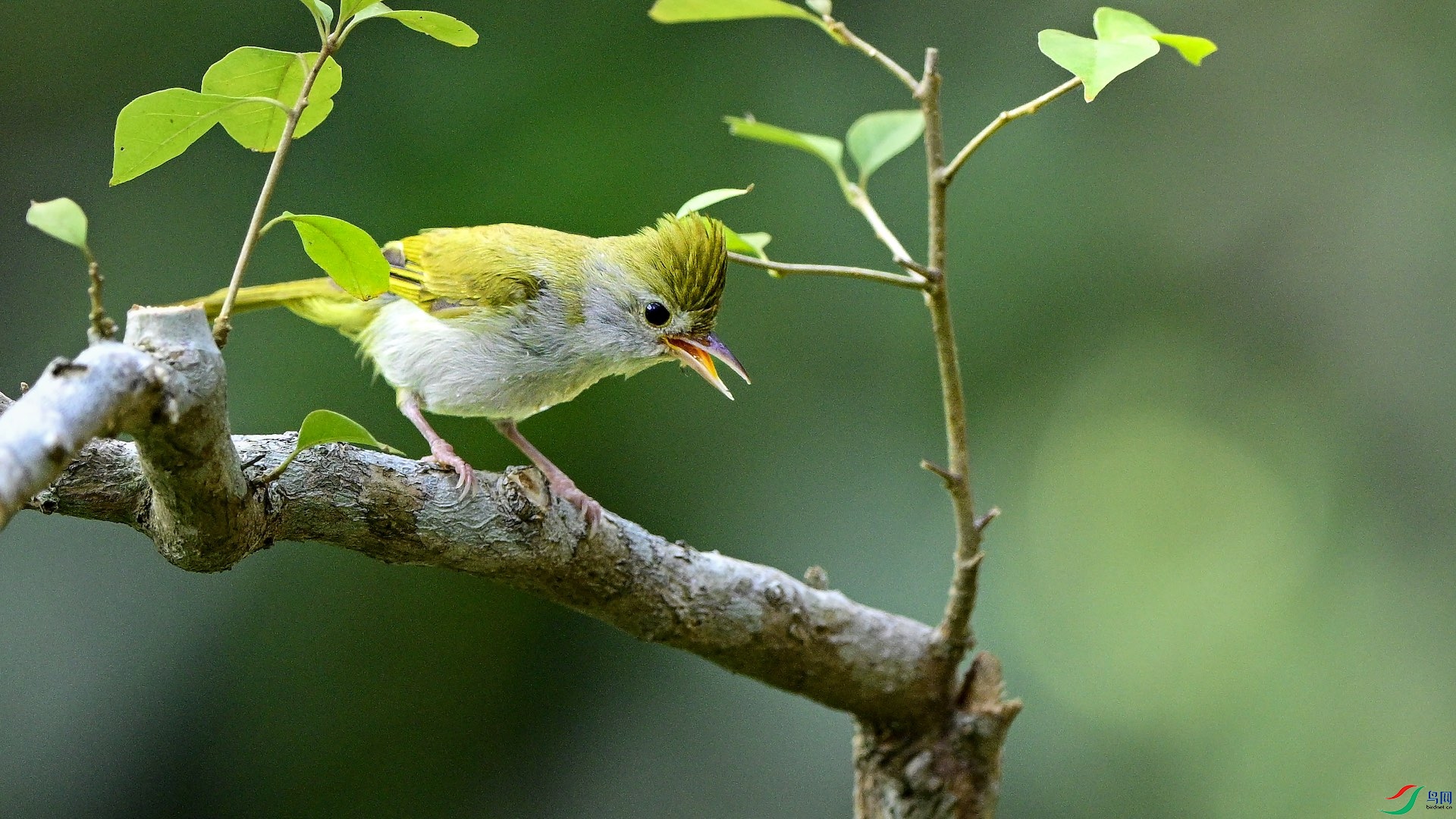 1_DSC1224 ����.jpeg