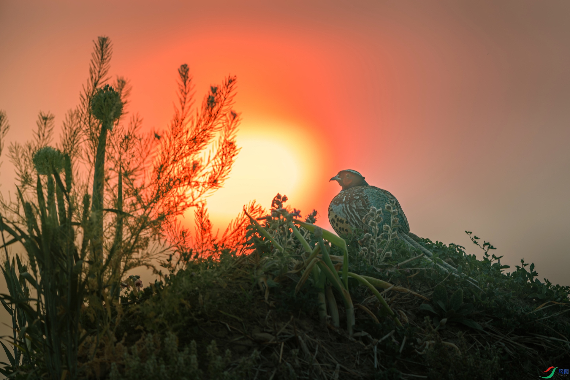 1_XXI4937-����ǿ-NR-1 2.jpeg