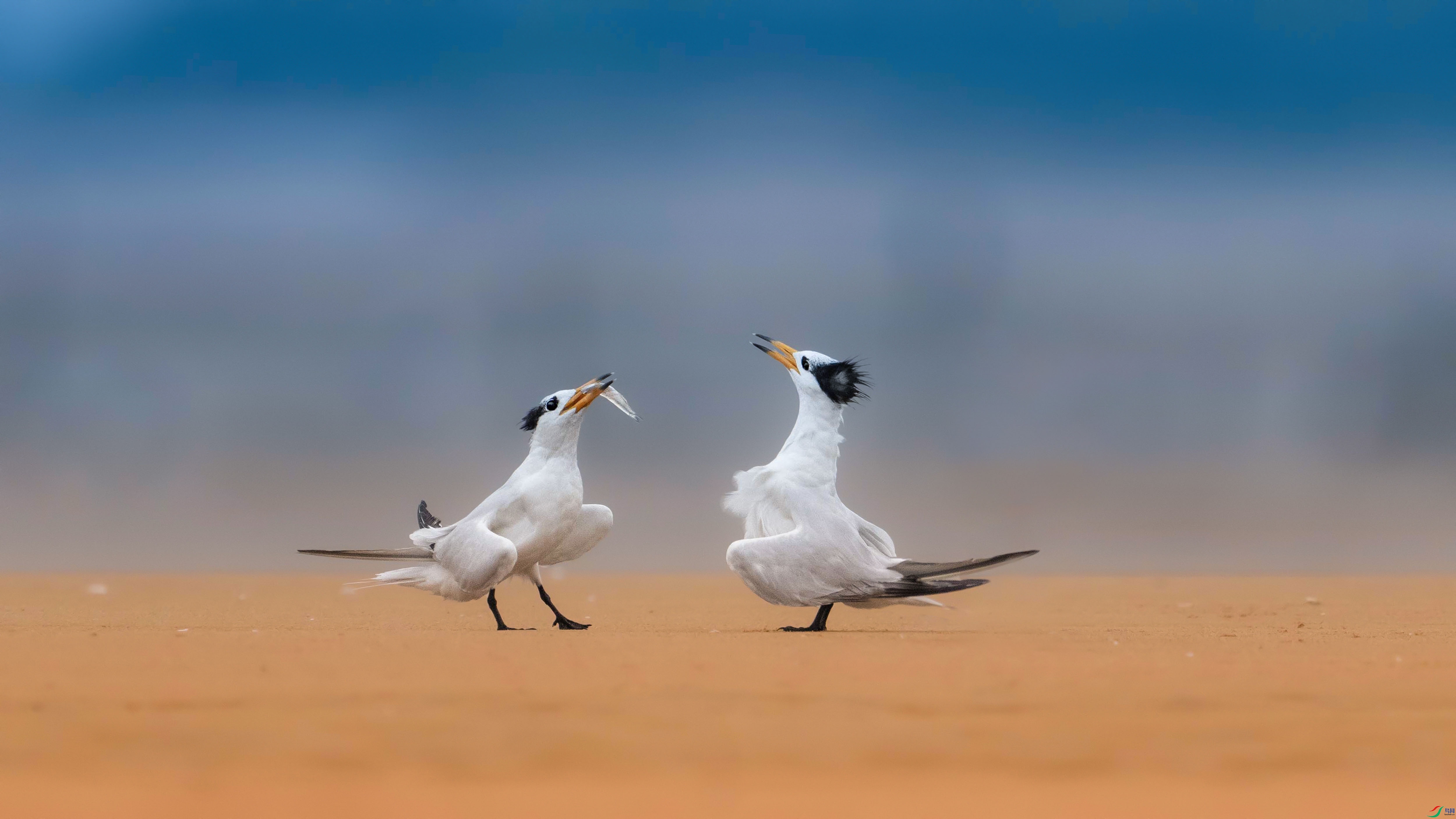 mmexport1728014350331 -1����.jpg