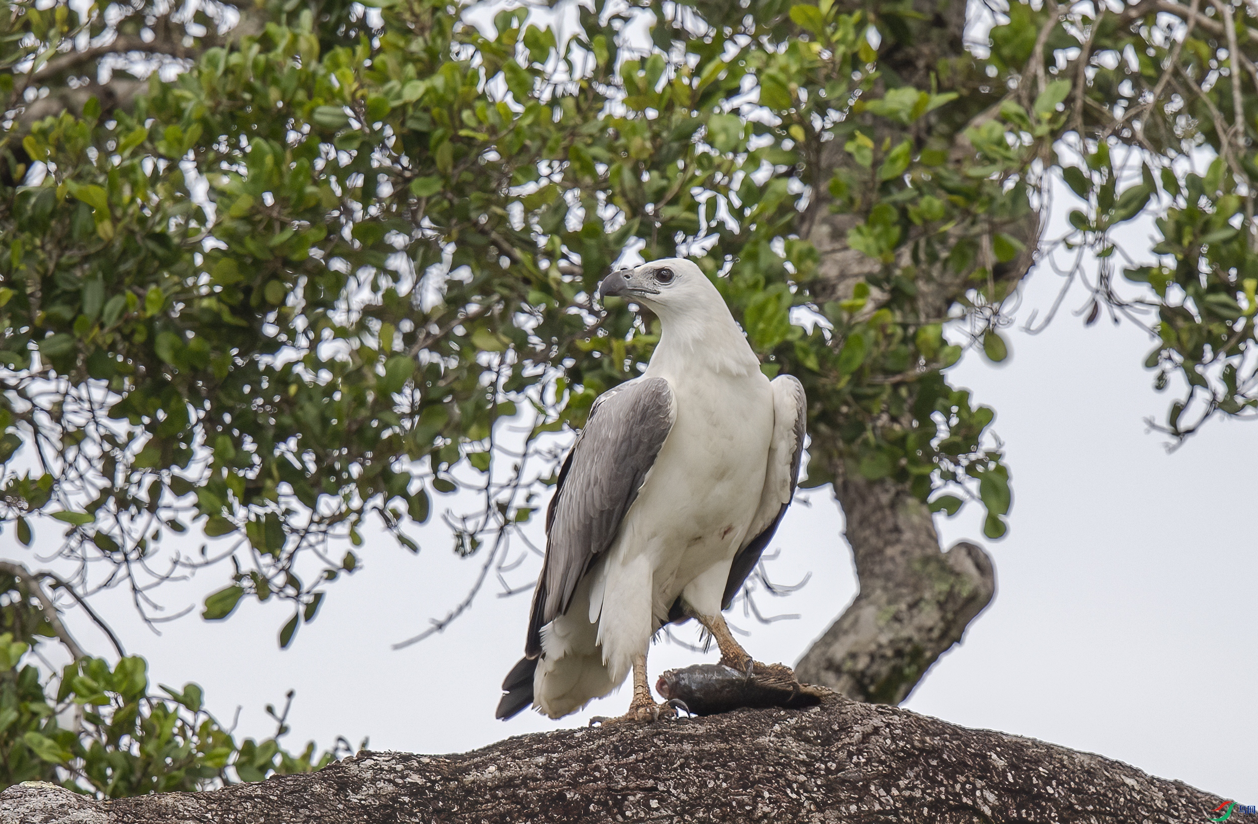 AC3I7356 ����.jpg