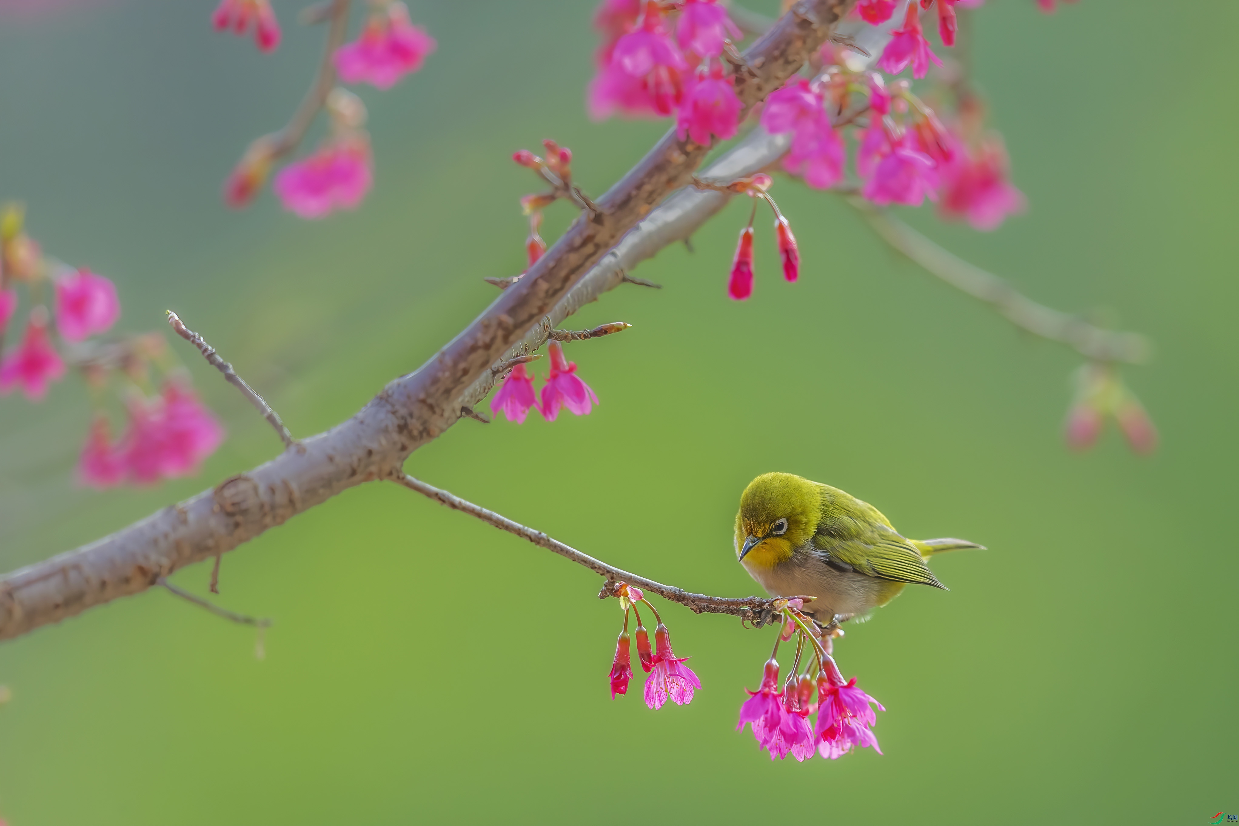 C09R5680 ����.jpg