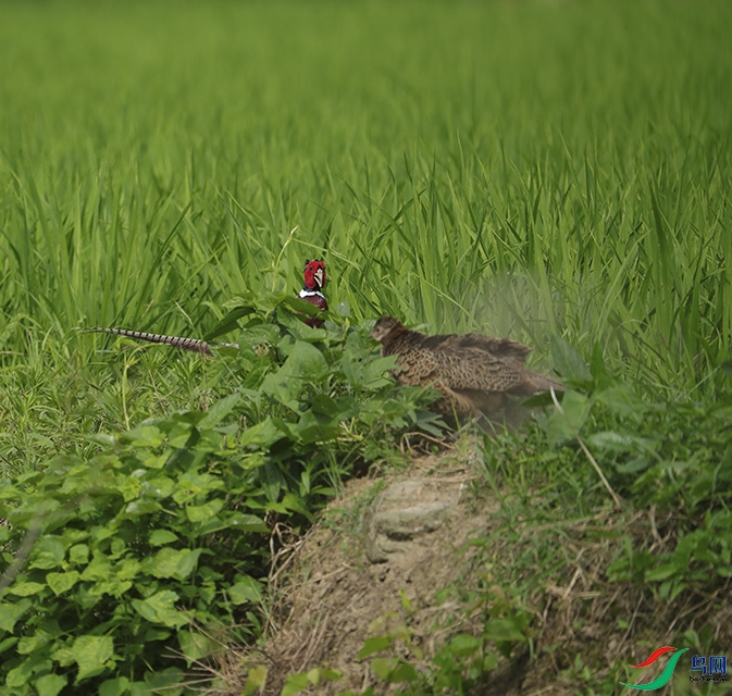 0075.jpg