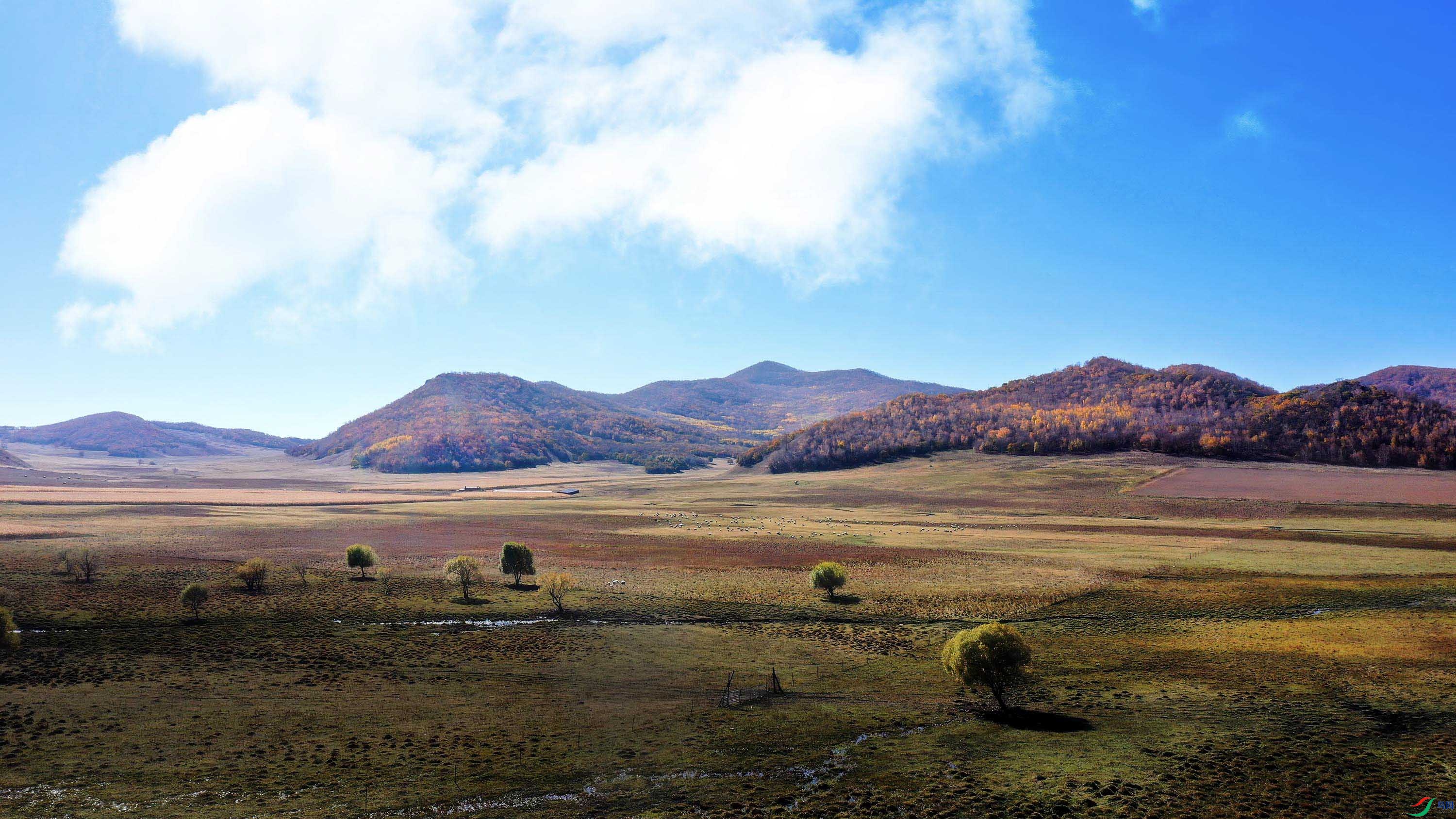 DJI_0169.jpg