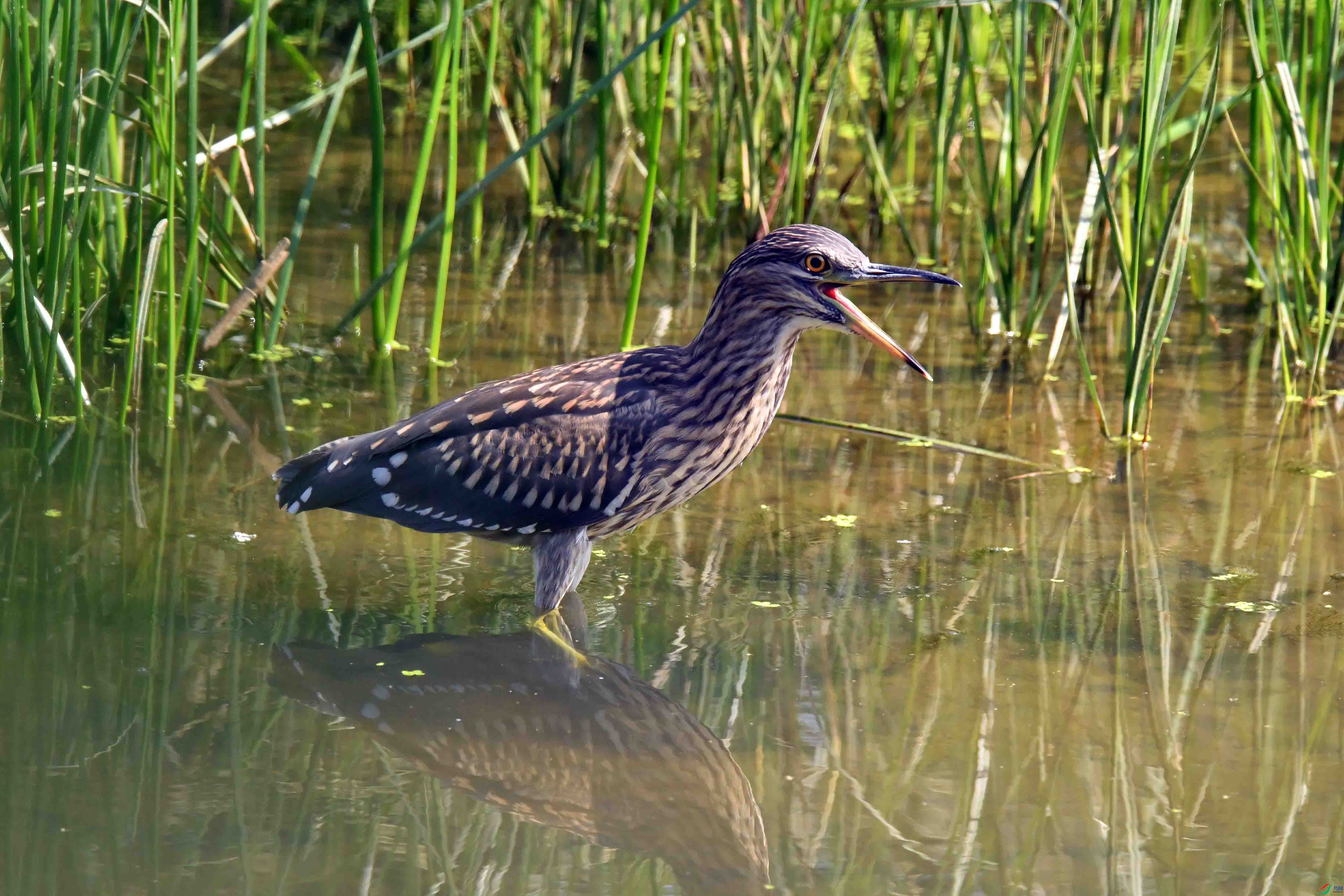 DSC_3209.JPG