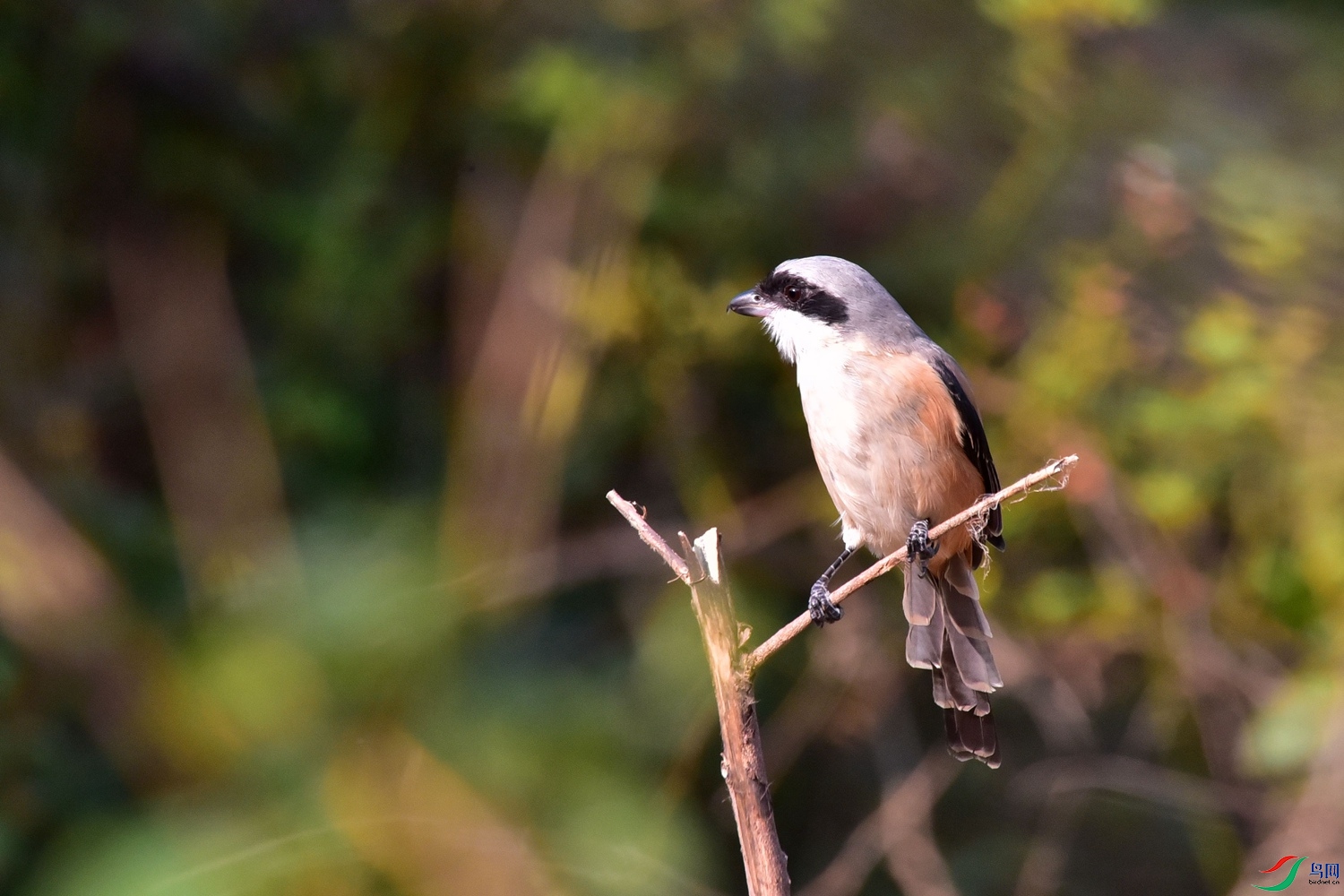 DSC_2224.JPG