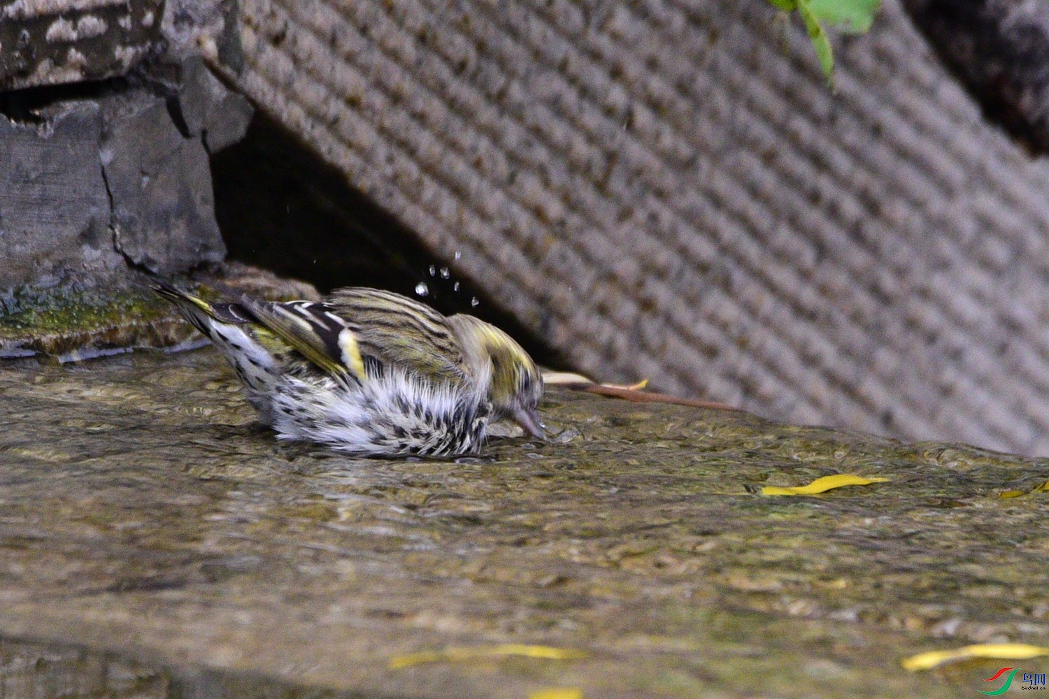 DSC_6176.JPG
