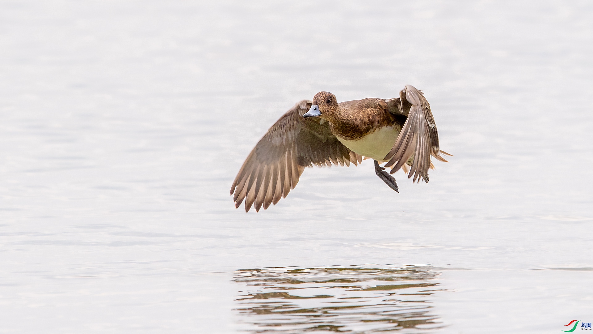 DSC_7477-����ǿ-NR.jpg