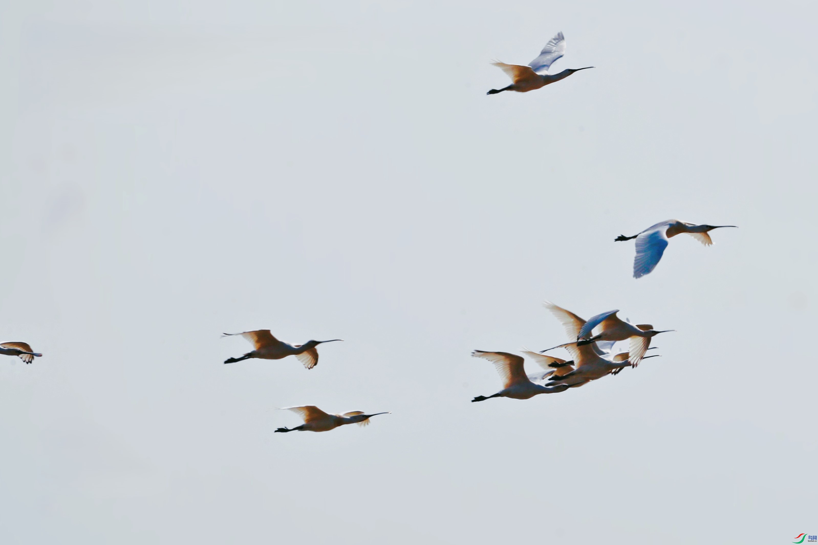 AS8I2582_���� (2).jpg